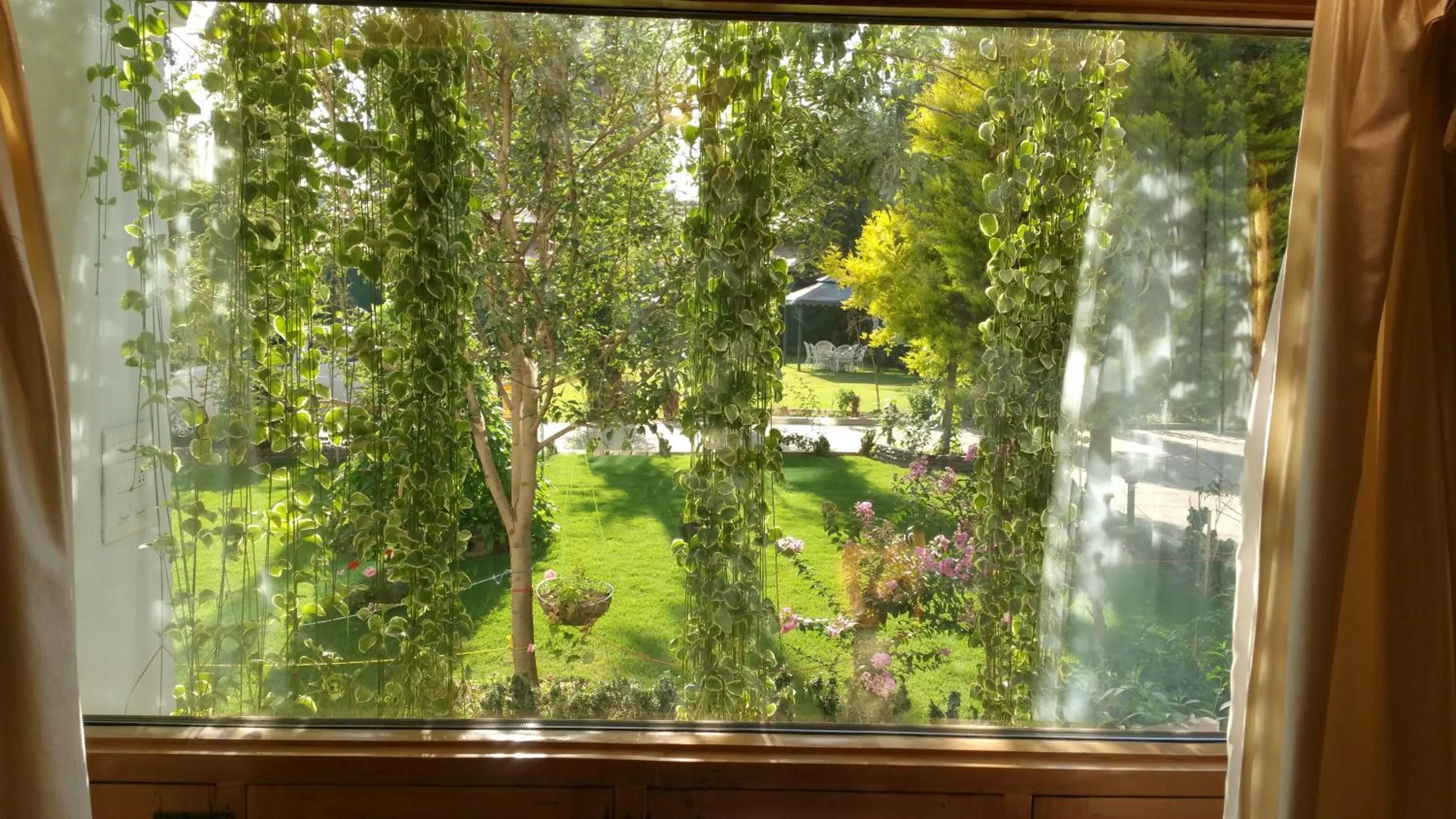 Garden view in Hotel Mirage
