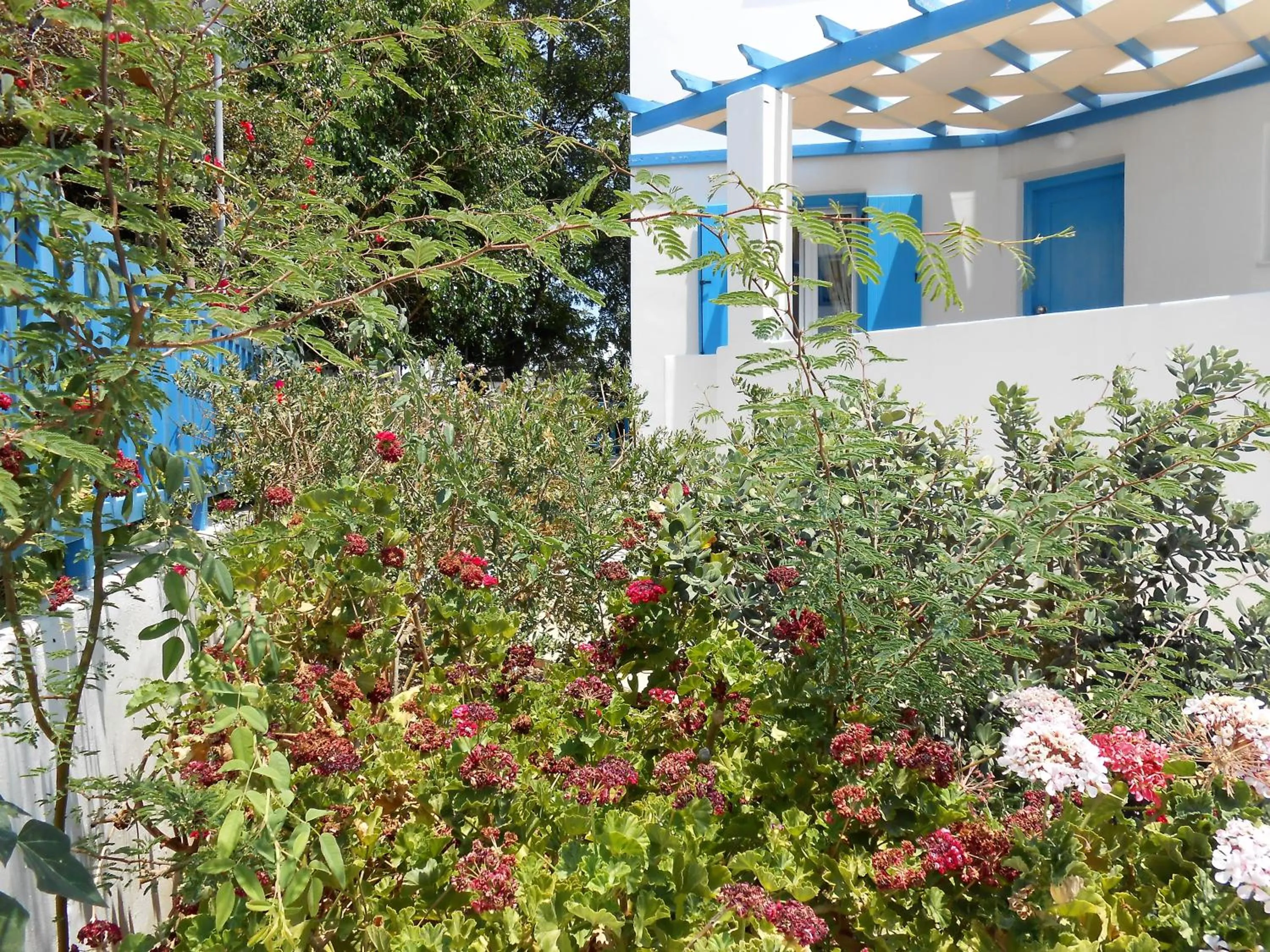 View (from property/room) in Livanios Studios