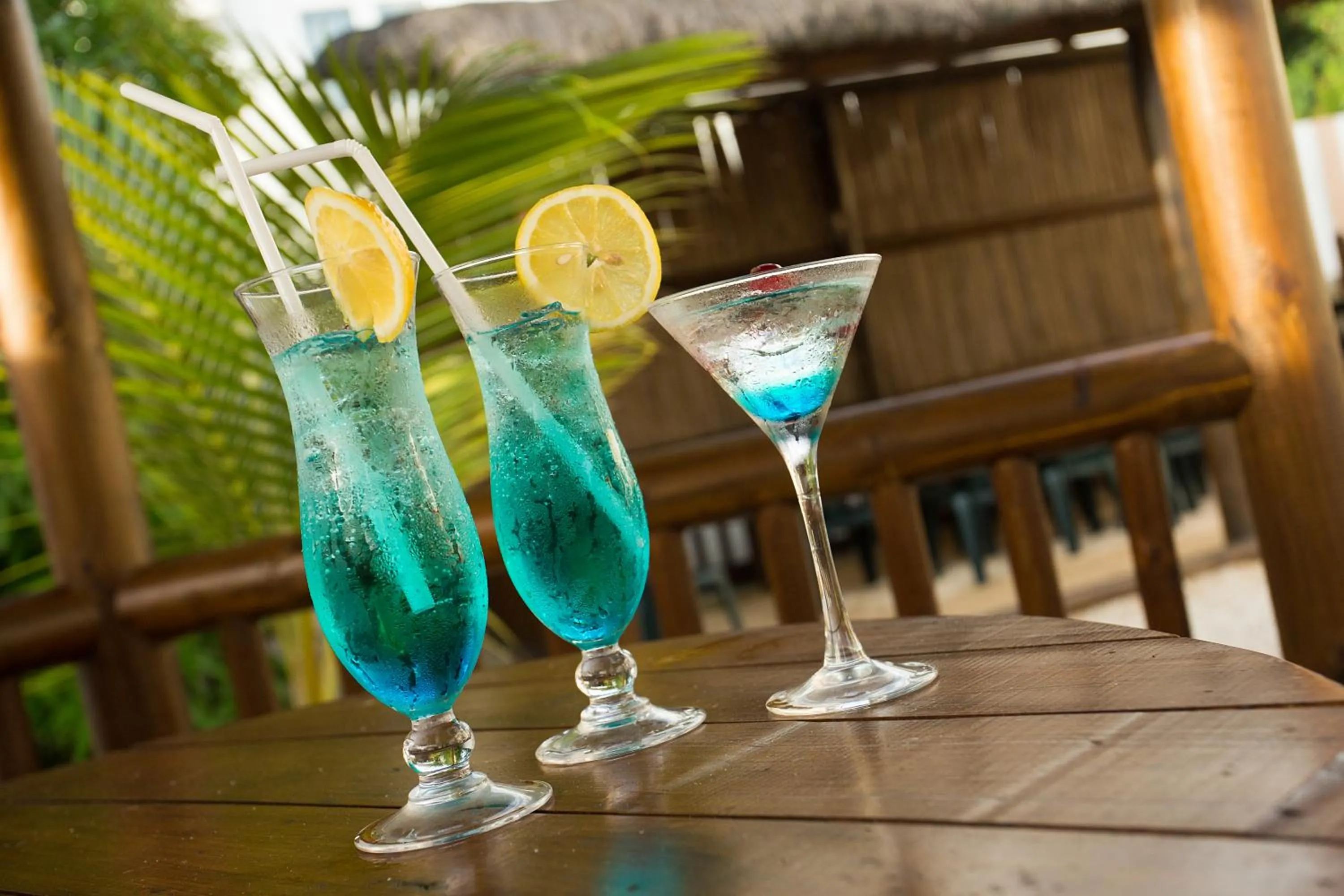 Drinks in L'Oiseau de L'Ocean Tourist Residence