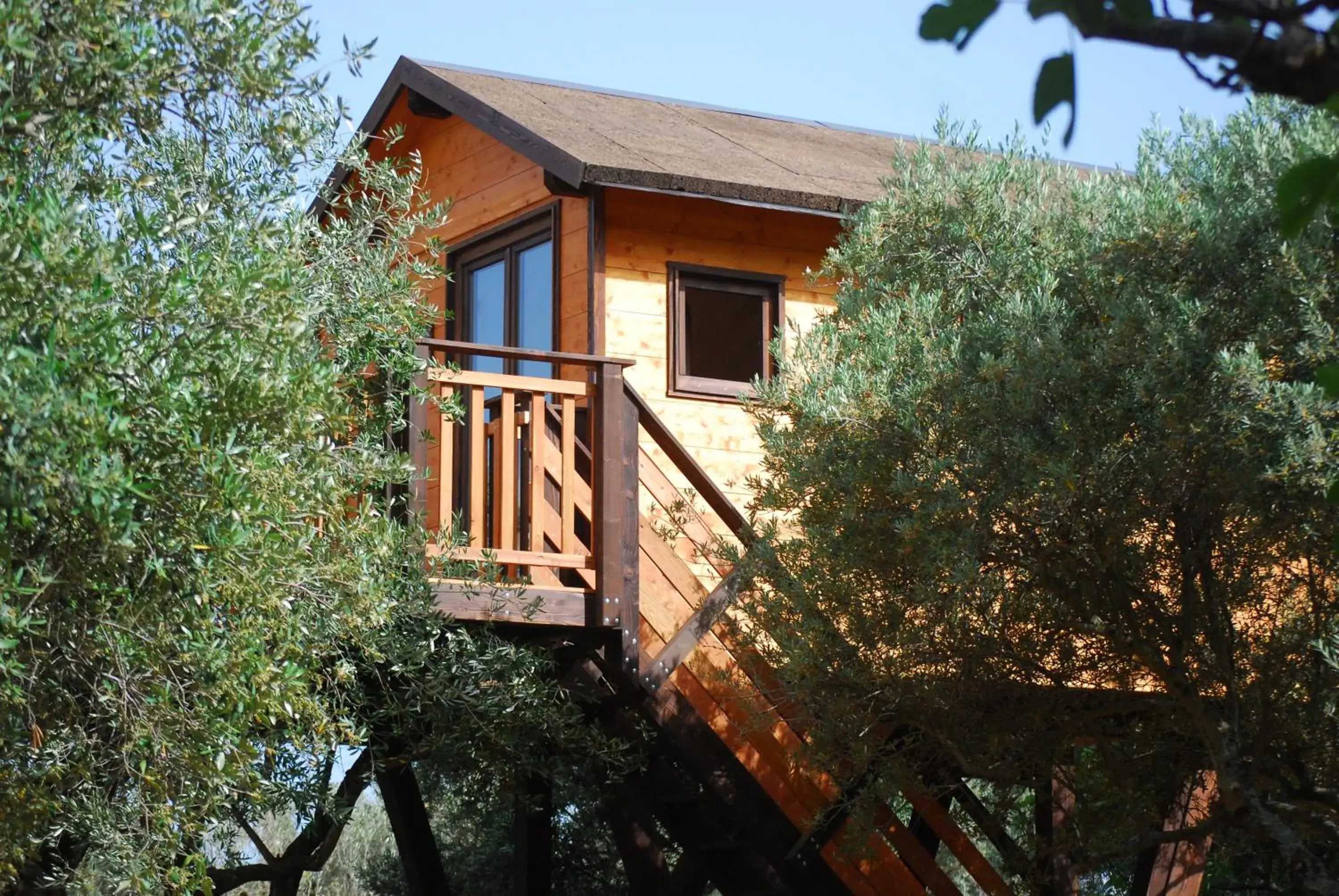 Superior Bungalow - single occupancy in Palazzo Conforti Tree House Resort Superior Bungalow - single occupancy in Palazzo Conforti Tree House Resort