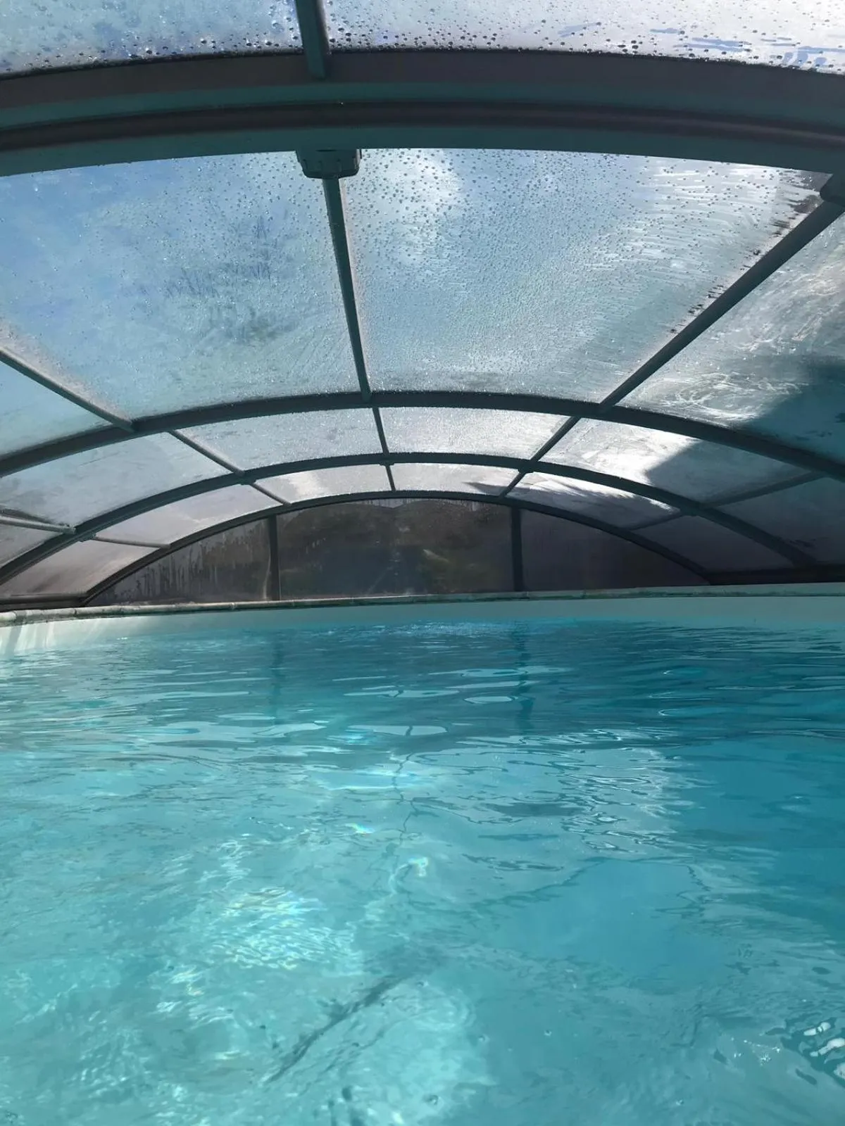 Swimming pool in Palazzo Conforti Tree House Resort
