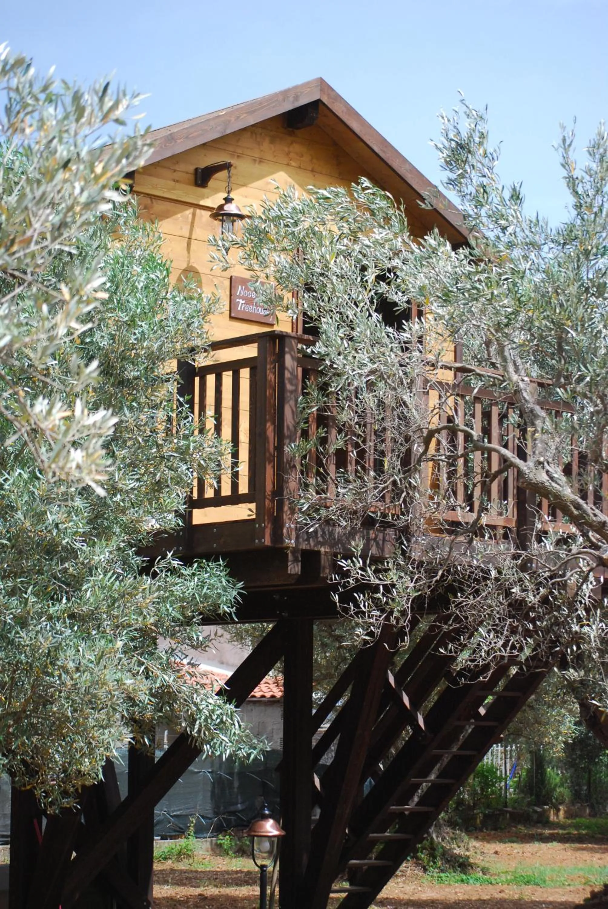Property building in Palazzo Conforti Tree House Resort