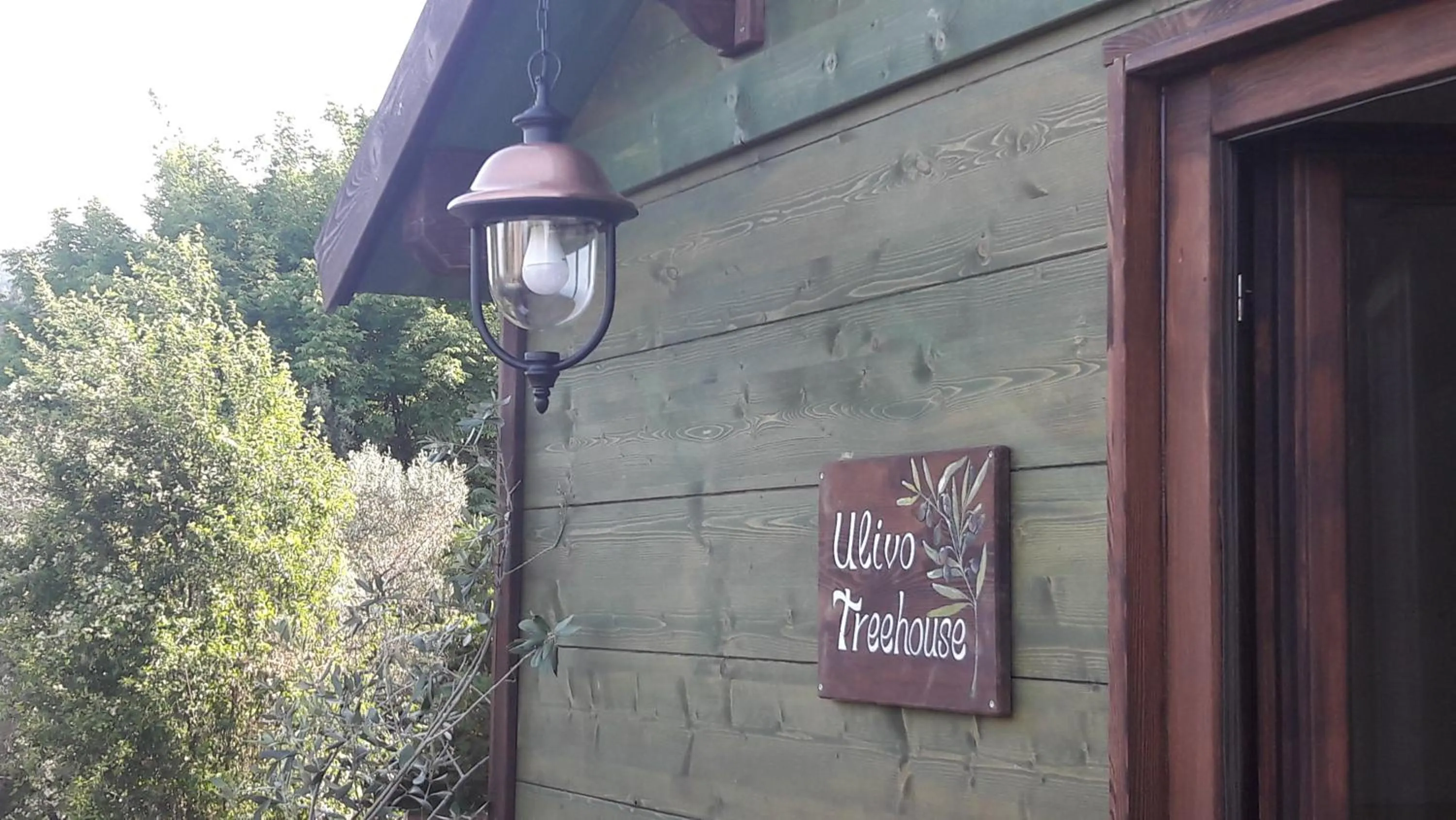 Palazzo Conforti Tree House Resort