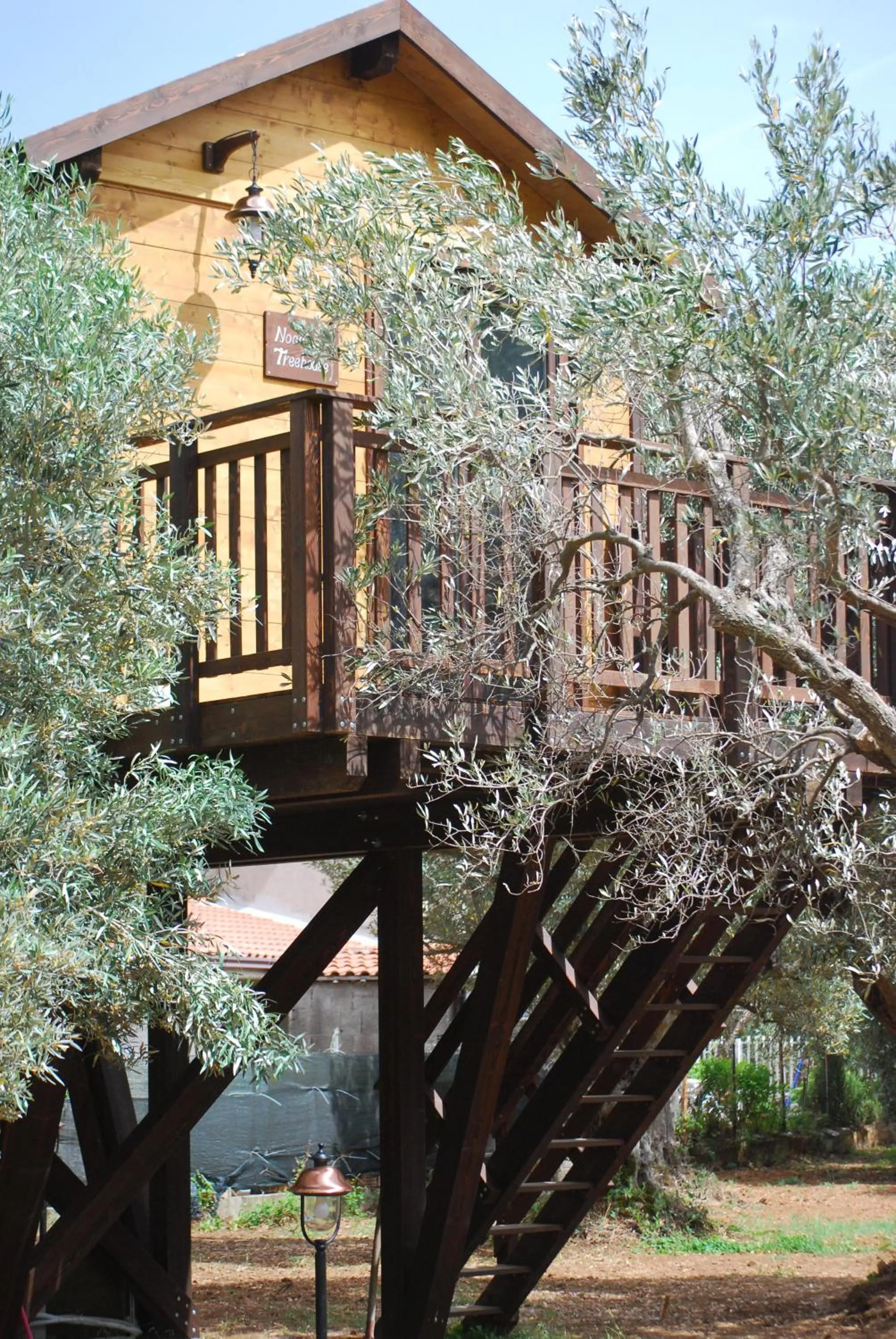 Palazzo Conforti Tree House Resort