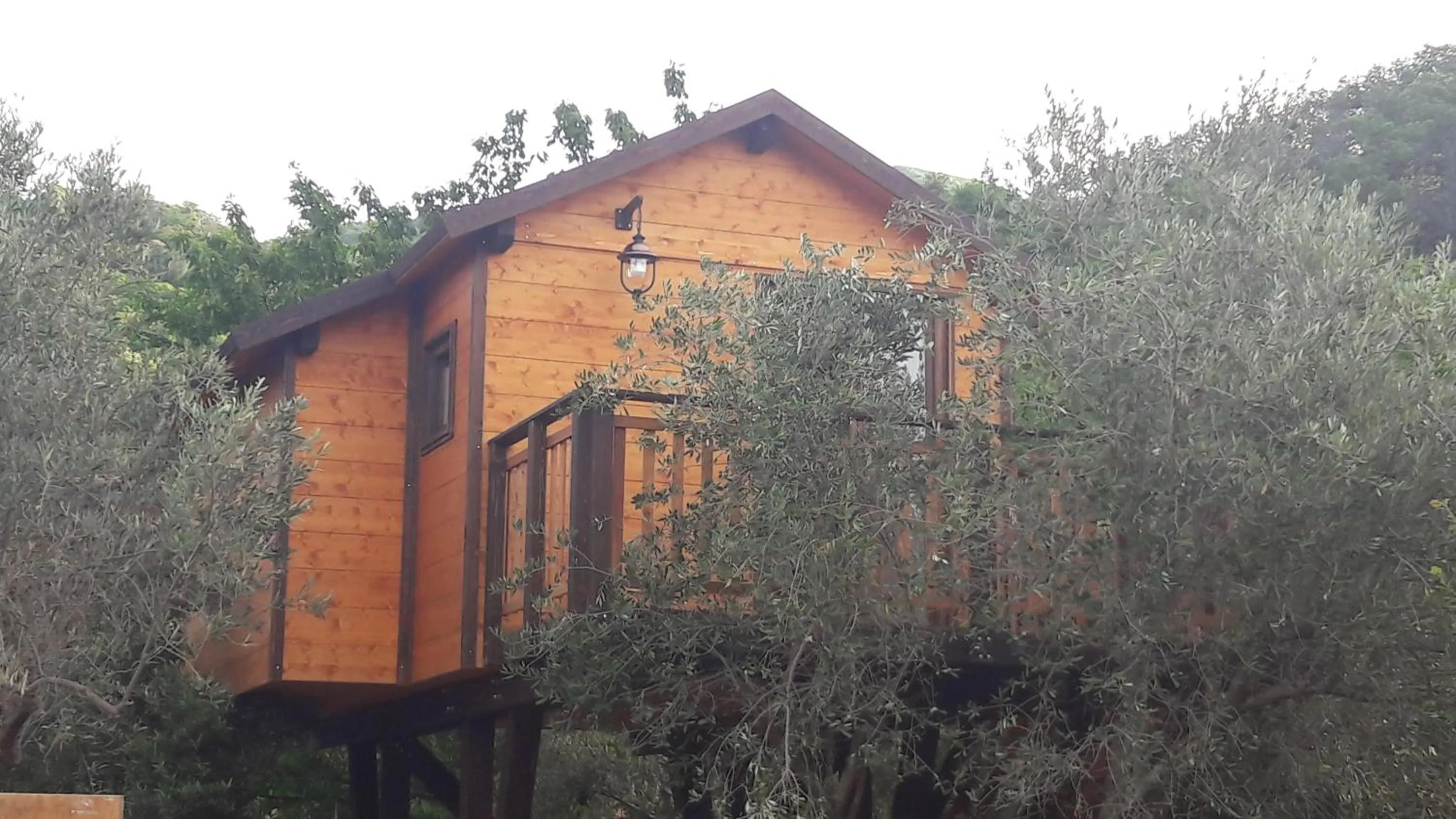 Palazzo Conforti Tree House Resort