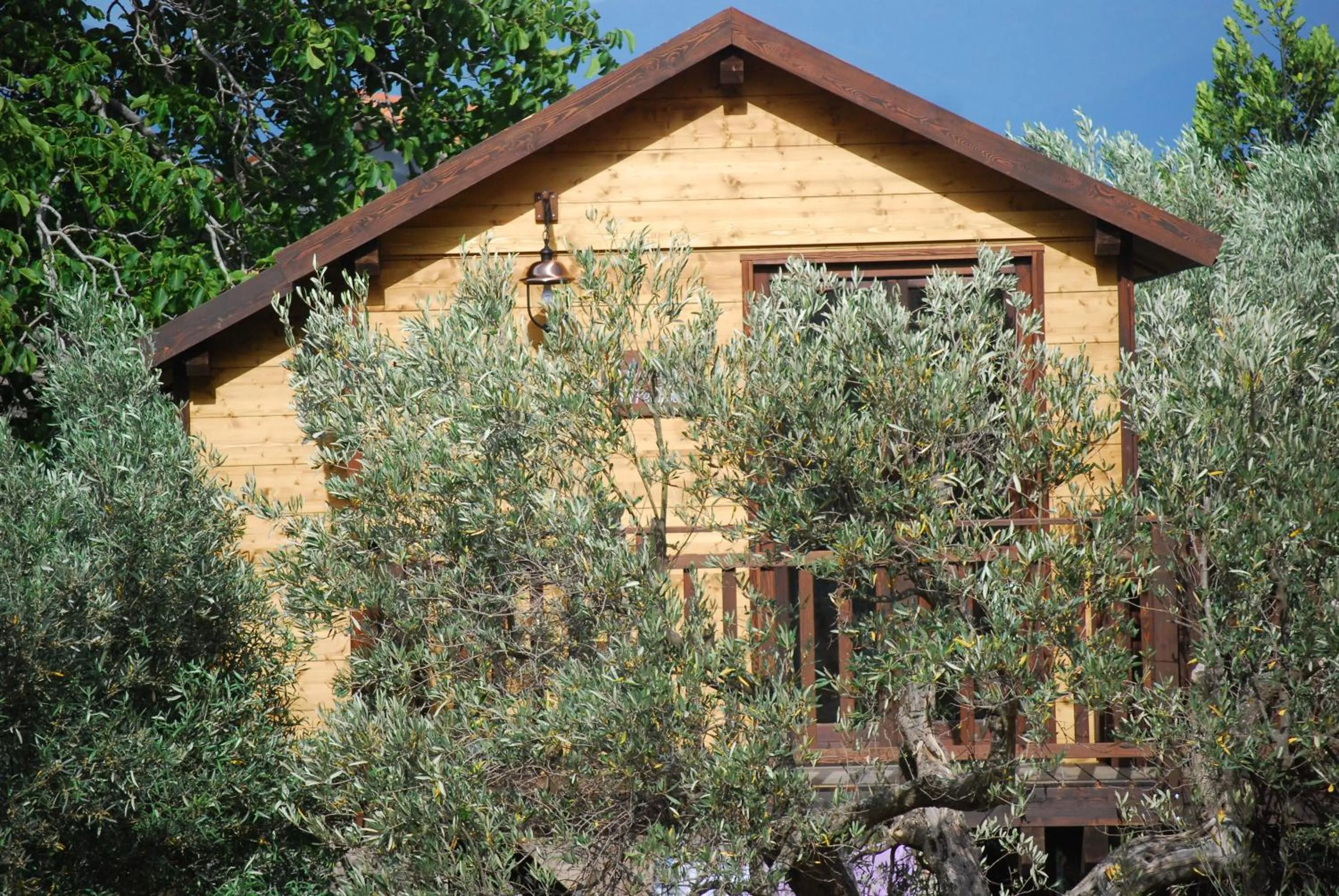Palazzo Conforti Tree House Resort