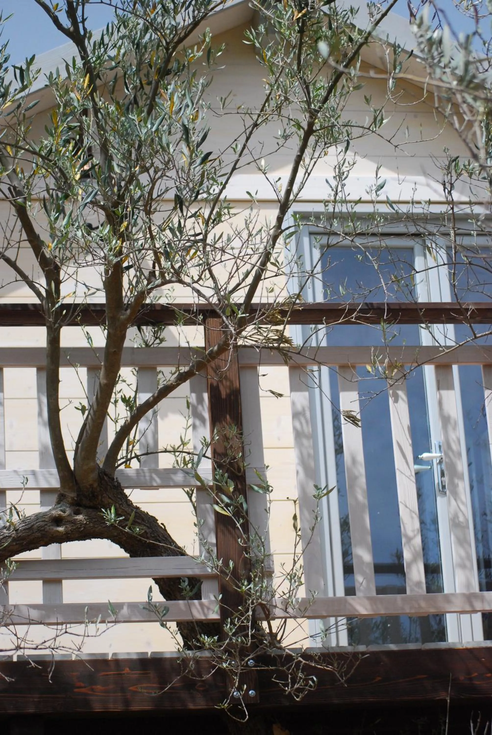 Palazzo Conforti Tree House Resort