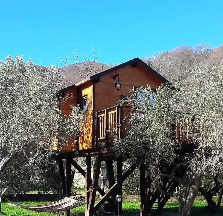 Palazzo Conforti Tree House Resort