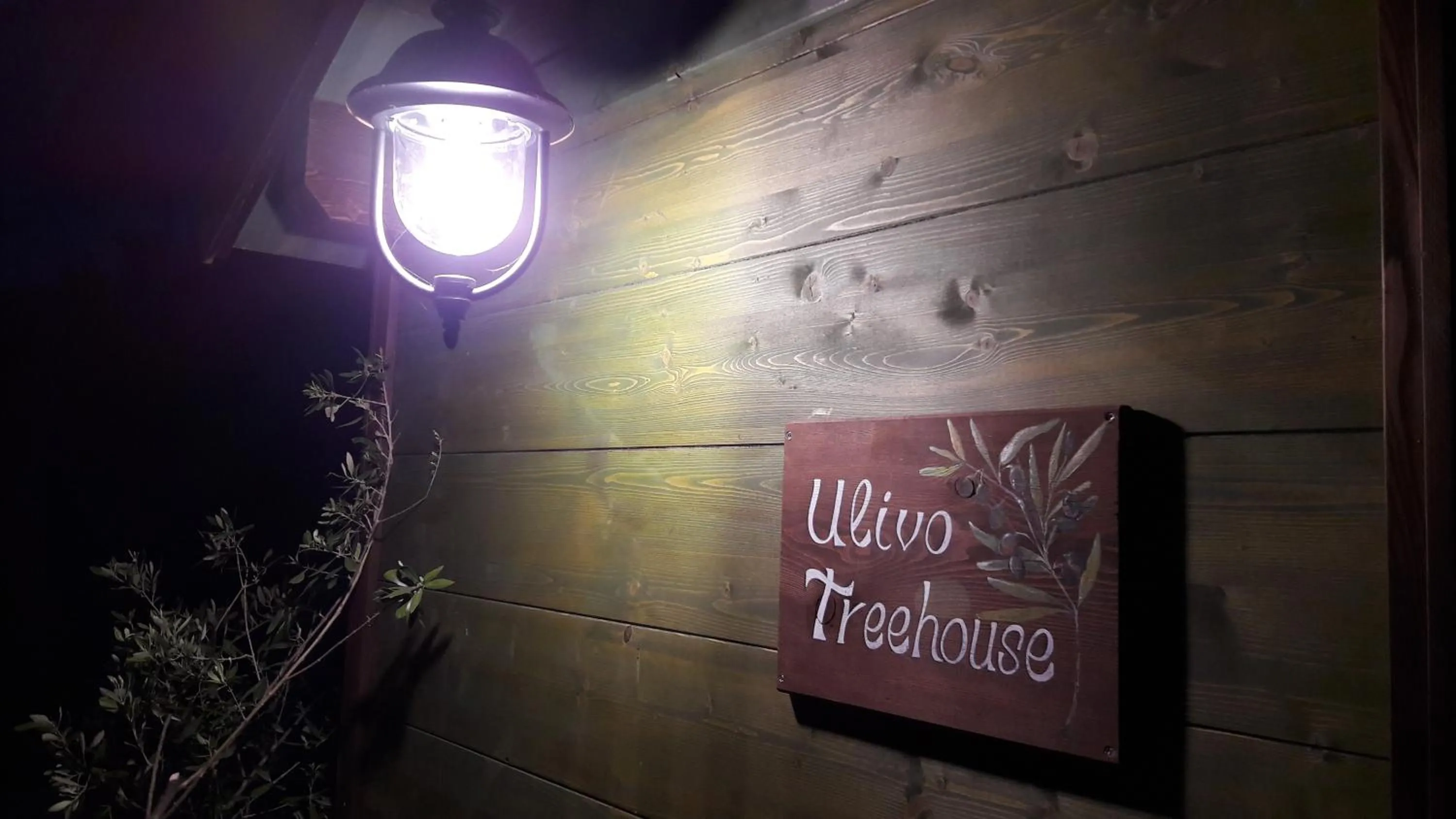 Palazzo Conforti Tree House Resort