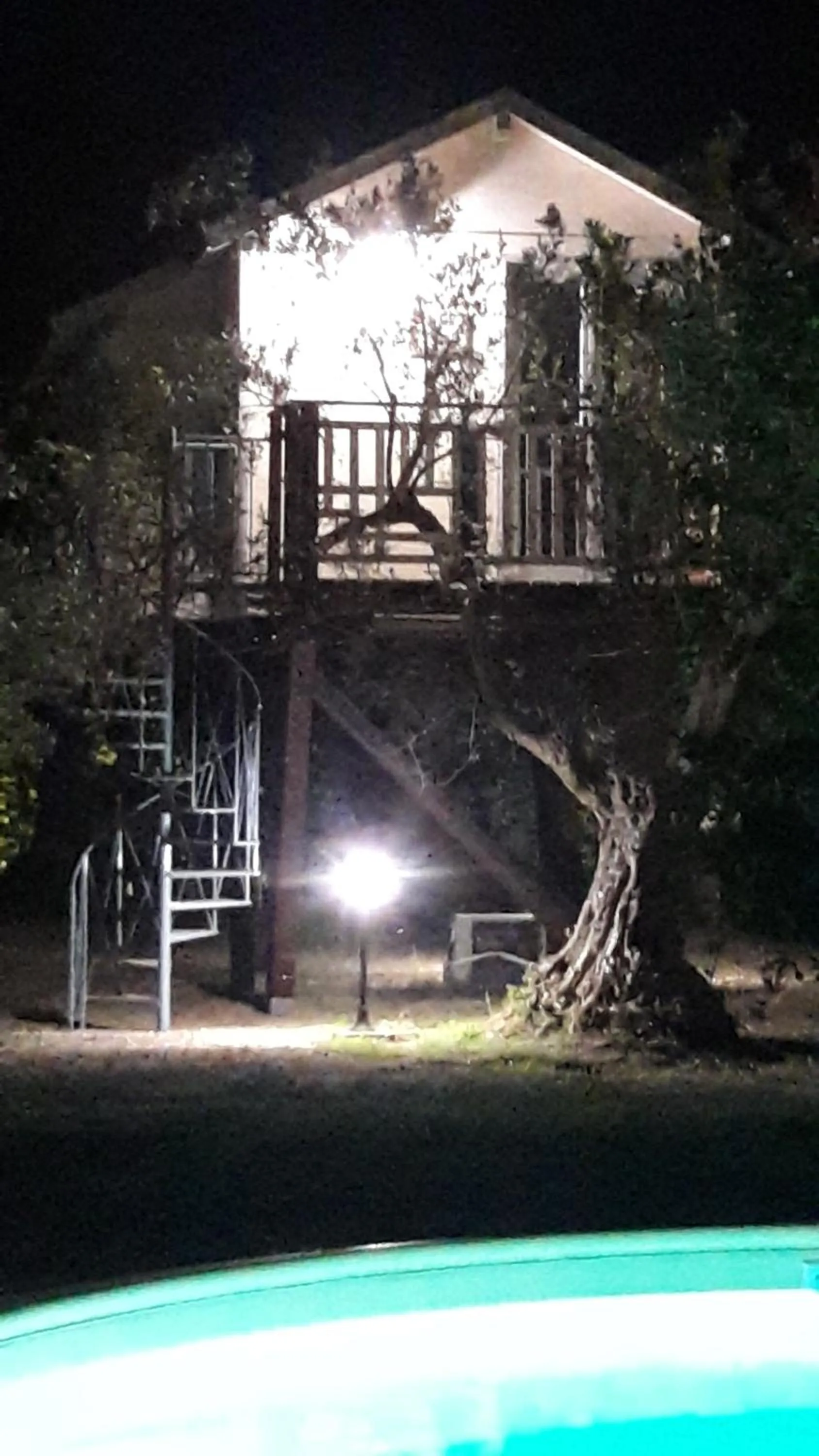 Palazzo Conforti Tree House Resort