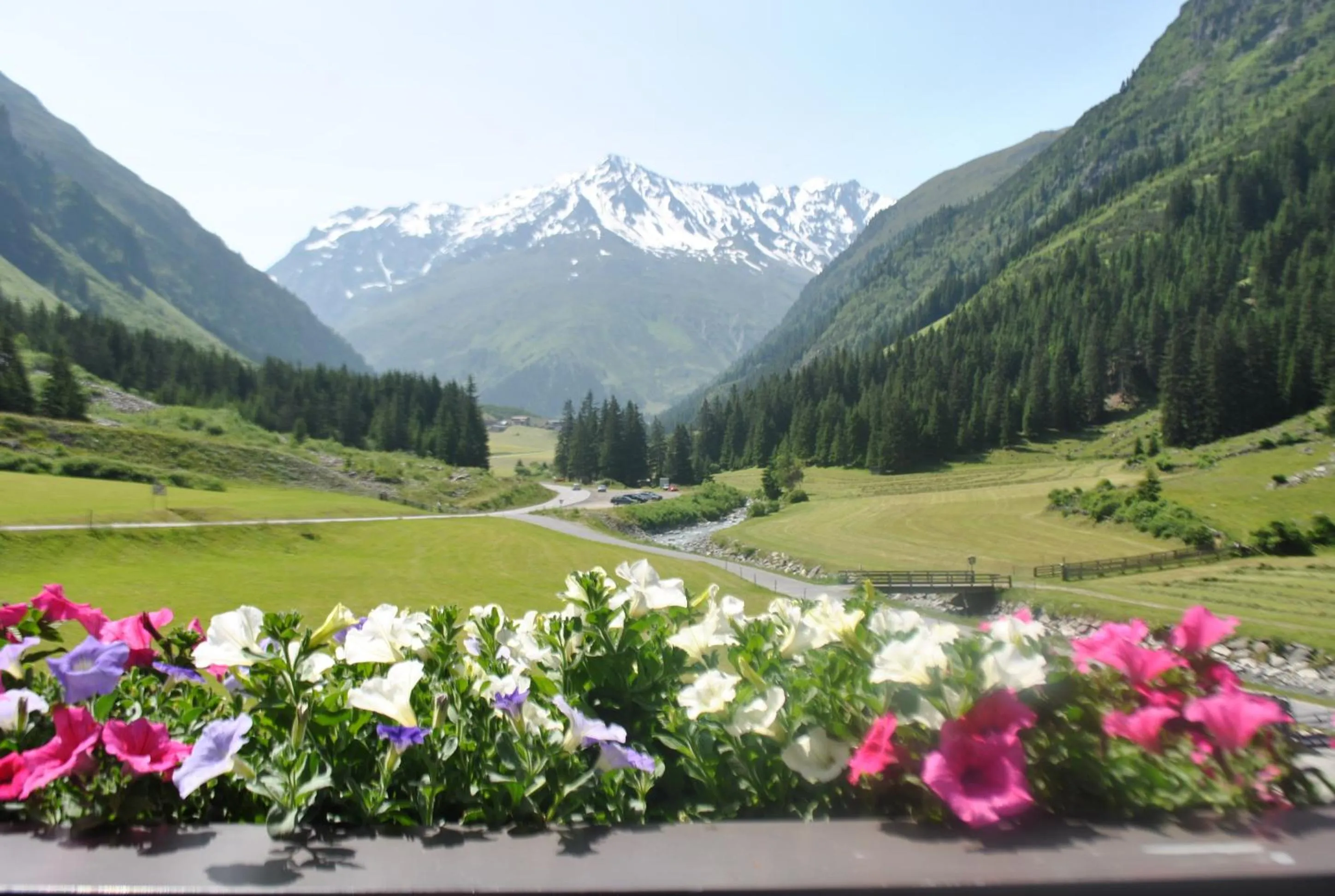 Natural landscape in Haus Margret