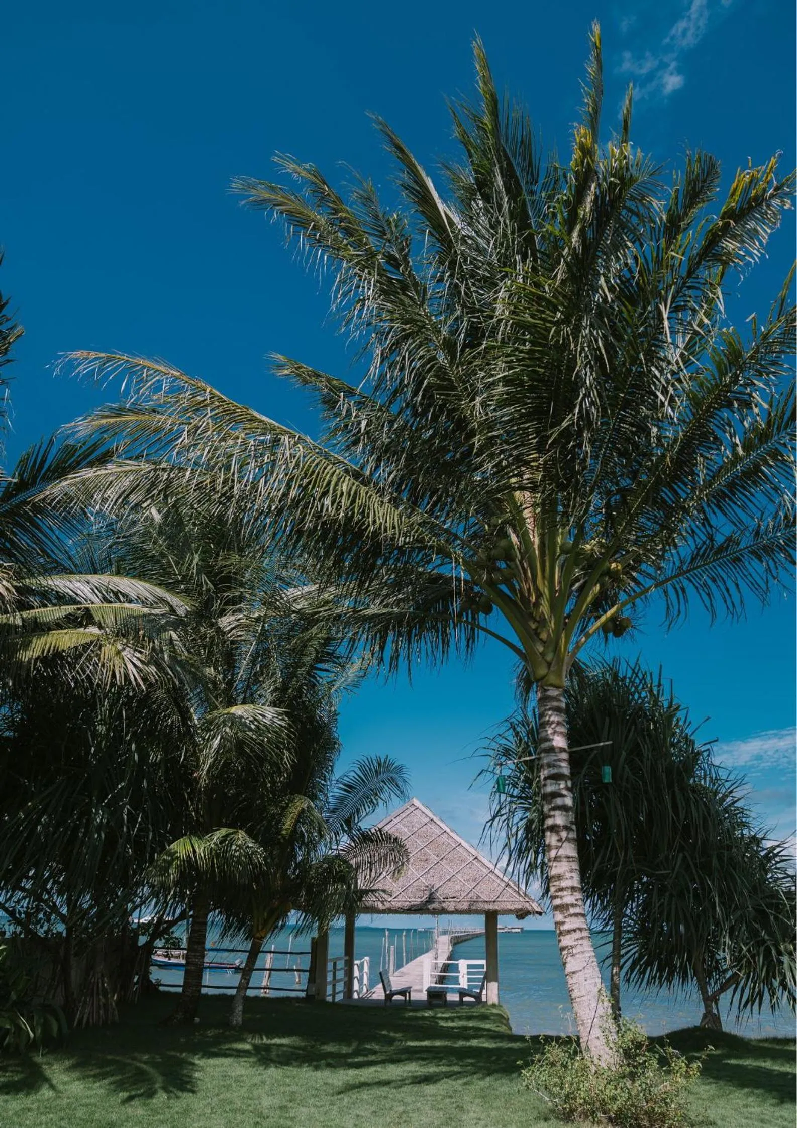 Property building in The Kelong Trikora Resort