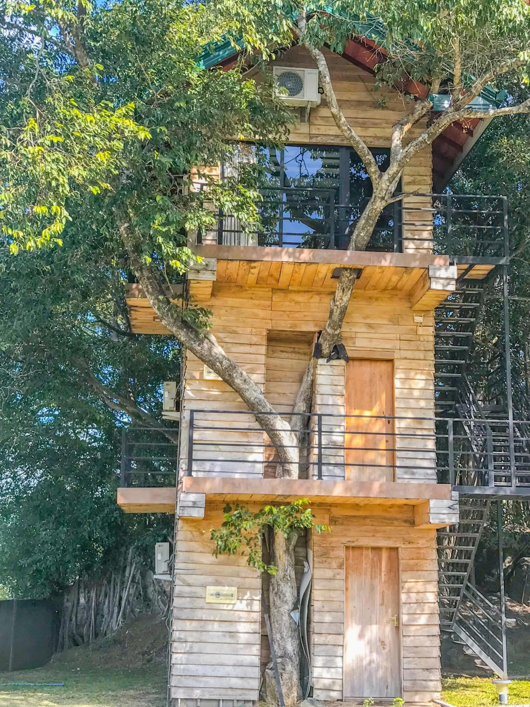 The Lion Kingdom Sigiriya