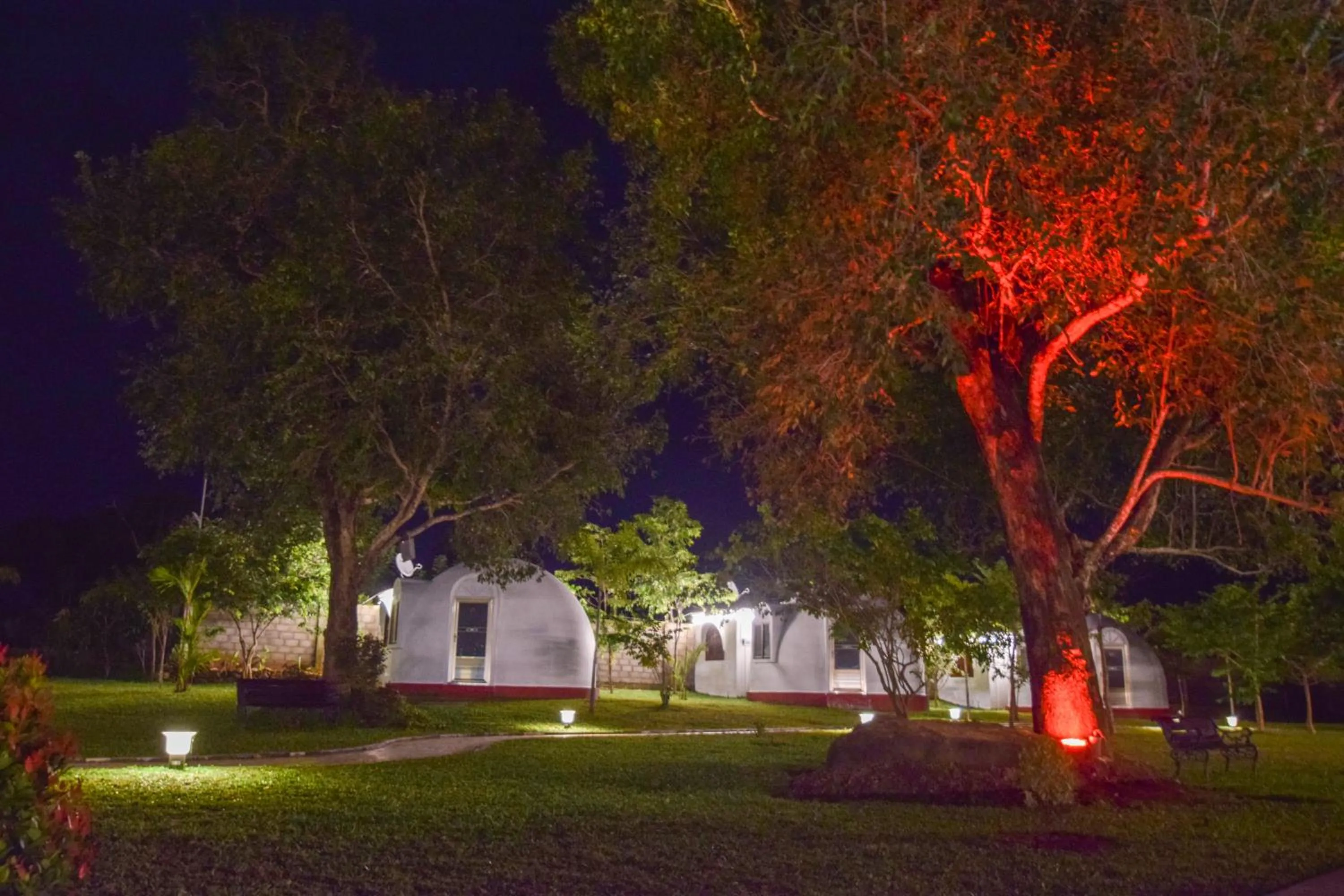 The Lion Kingdom Sigiriya