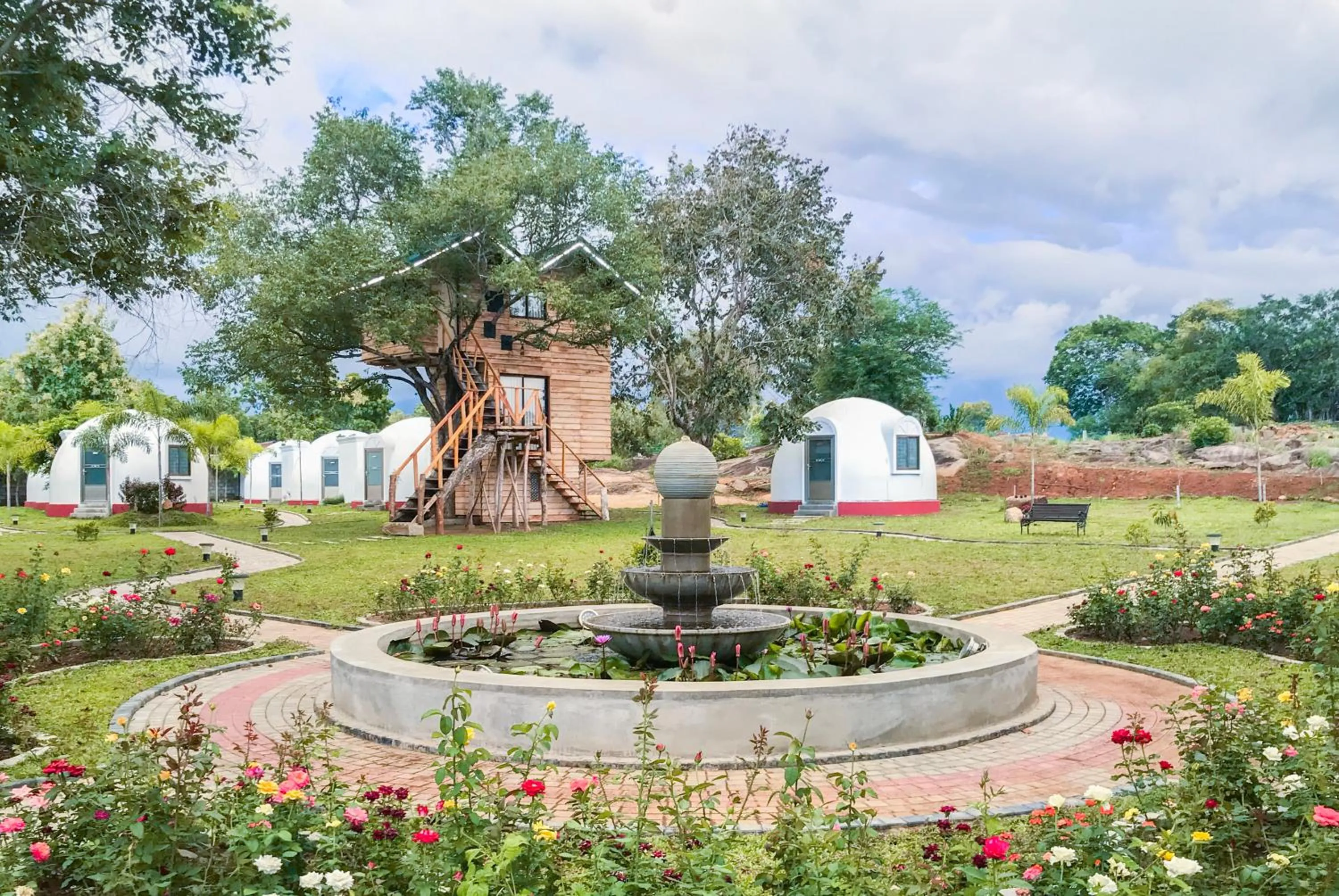The Lion Kingdom Sigiriya