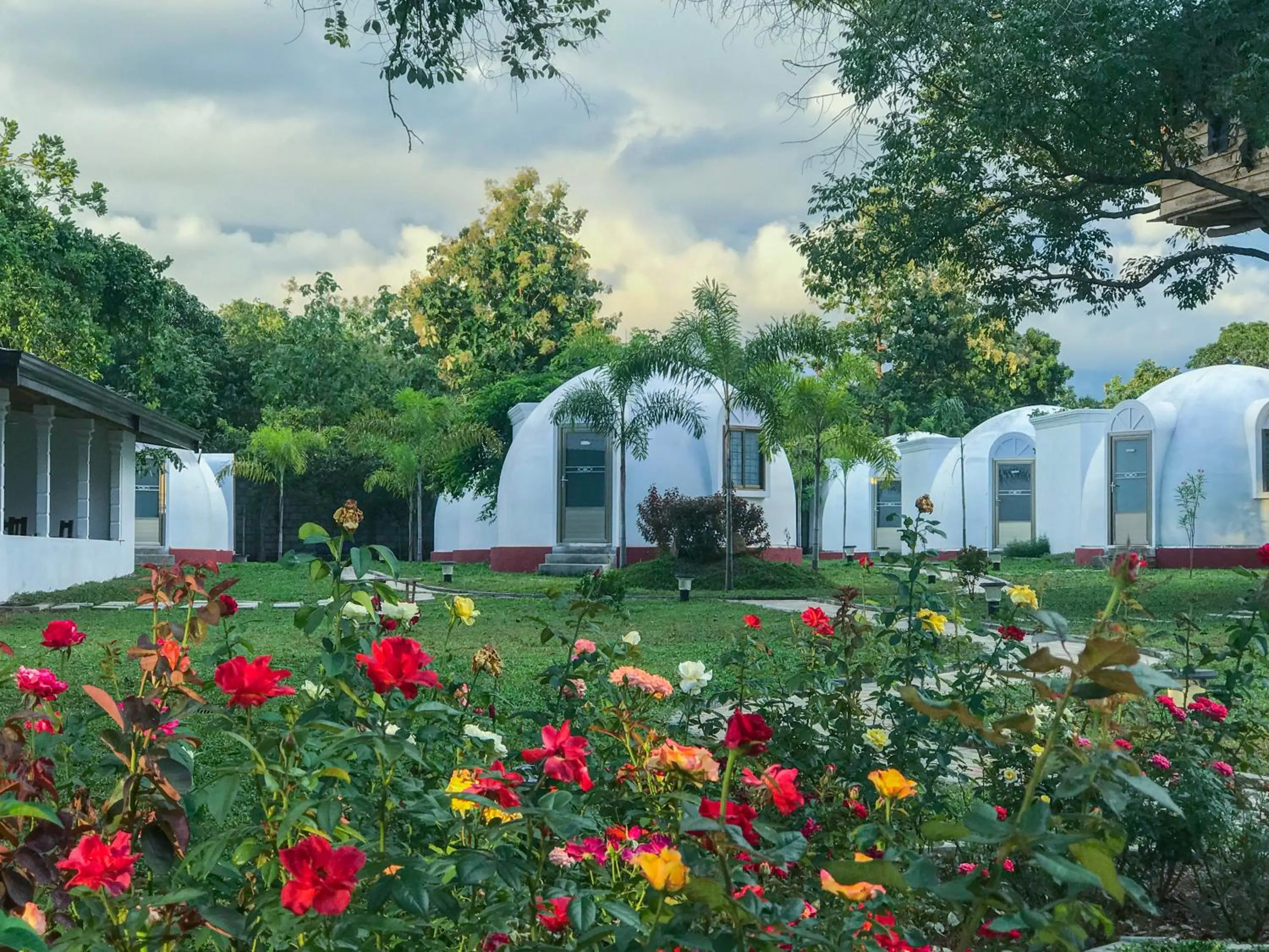 The Lion Kingdom Sigiriya