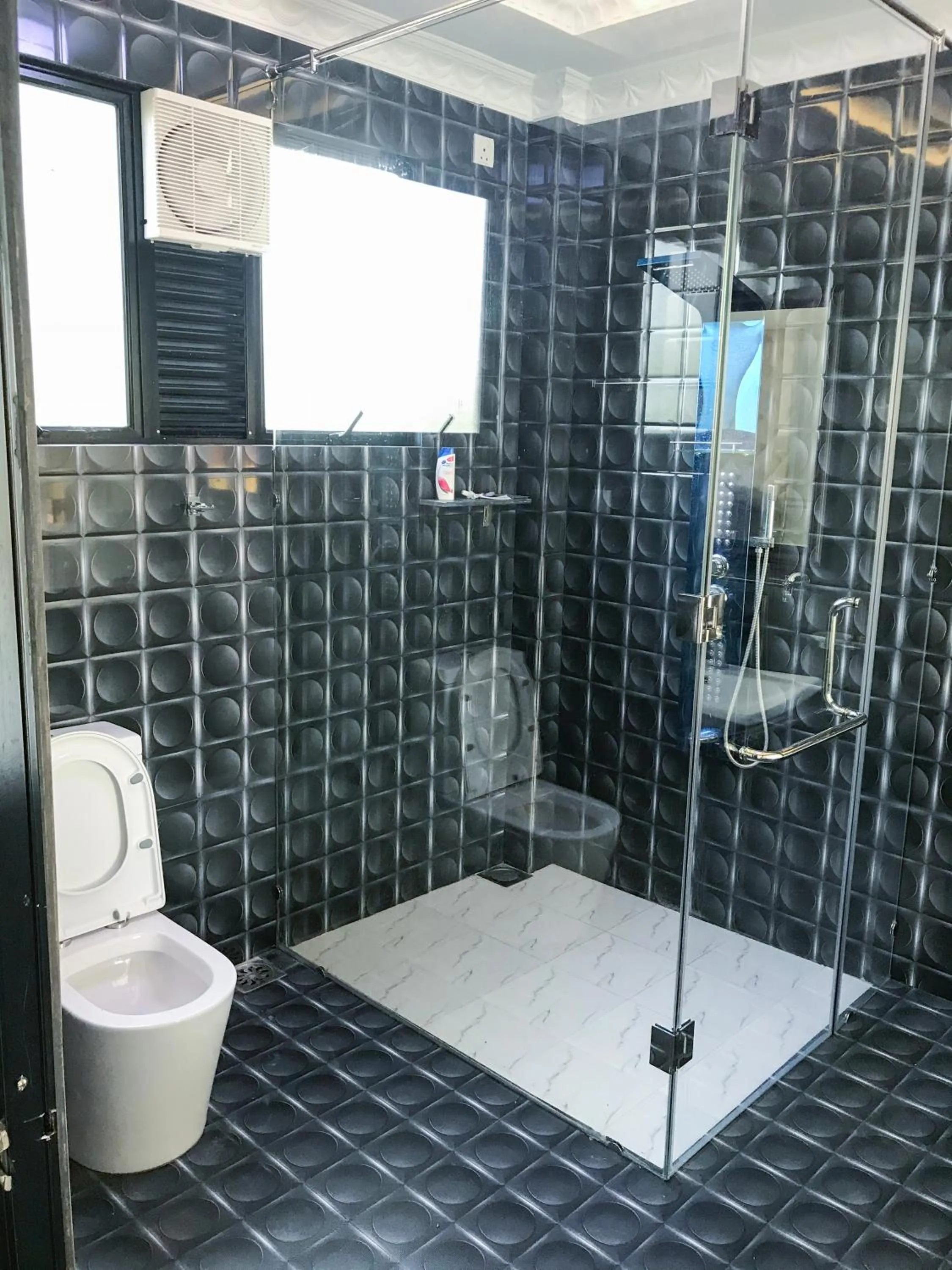 The Lion Kingdom Sigiriya