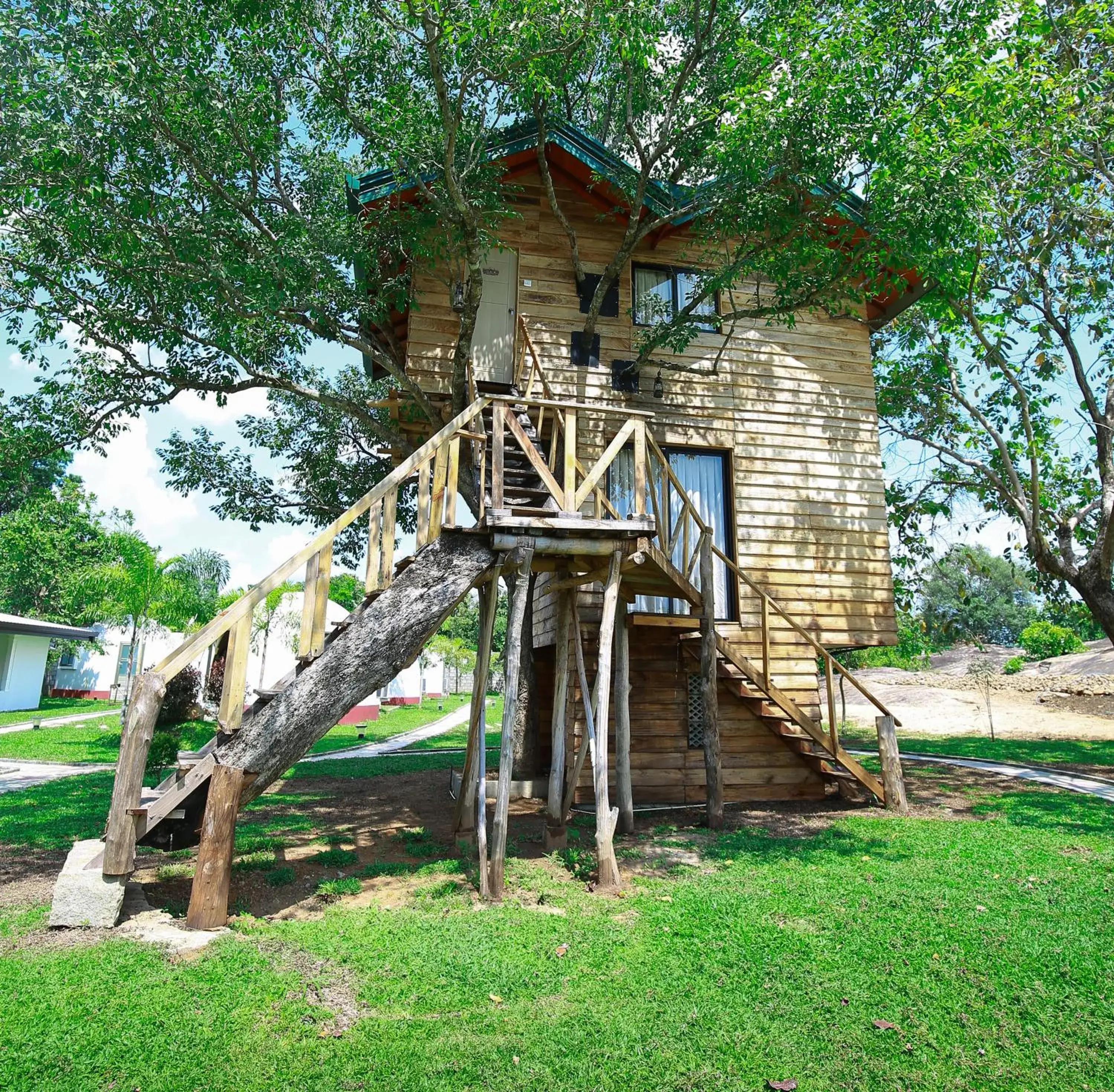 Tree House - single occupancy in The Lion Kingdom Sigiriya Tree House - single occupancy in The Lion Kingdom Sigiriya