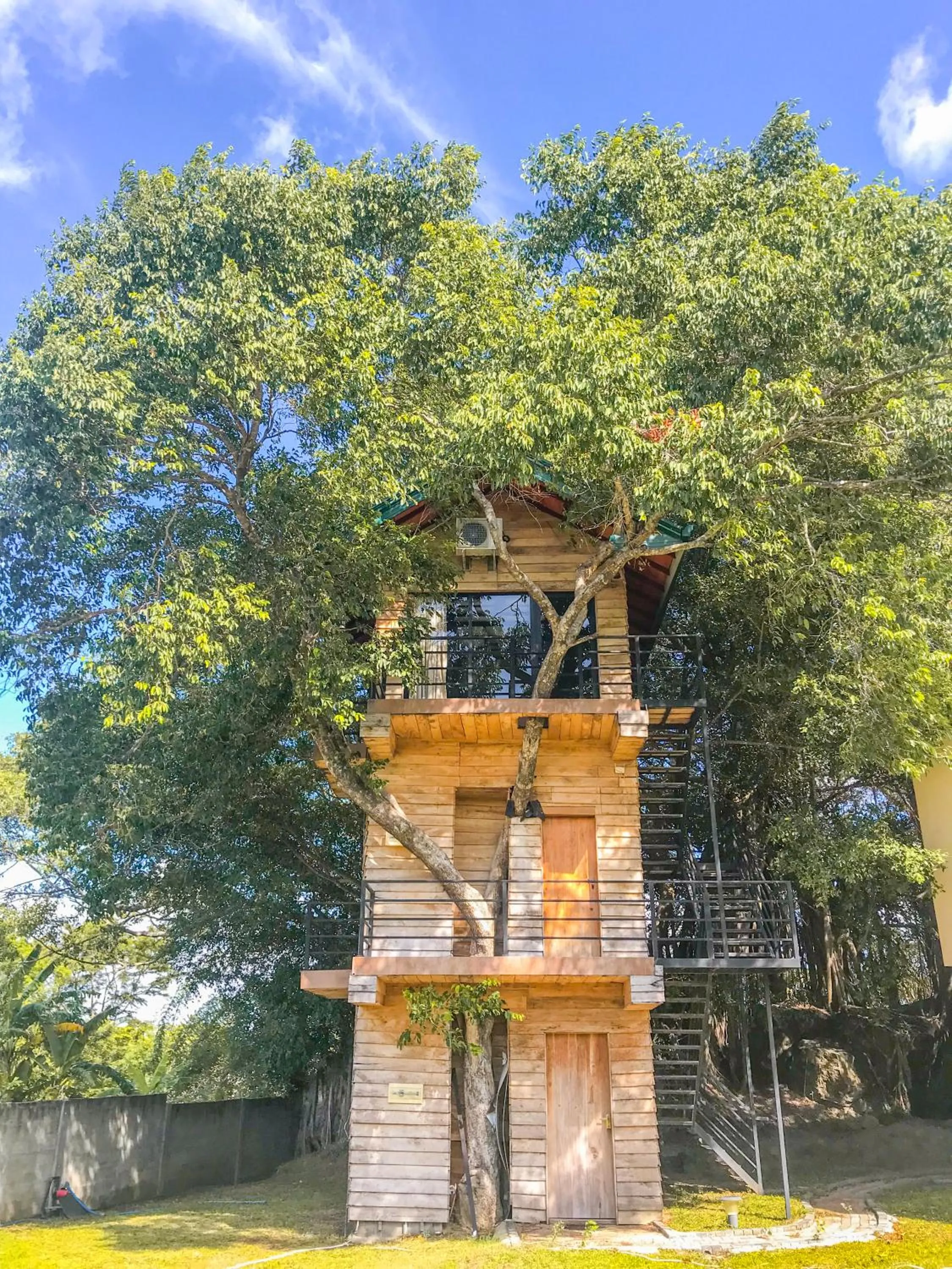 The Lion Kingdom Sigiriya