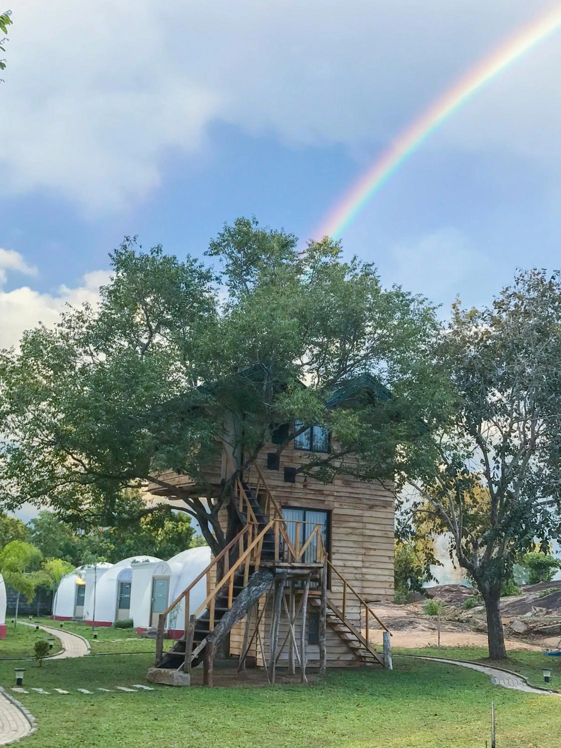The Lion Kingdom Sigiriya