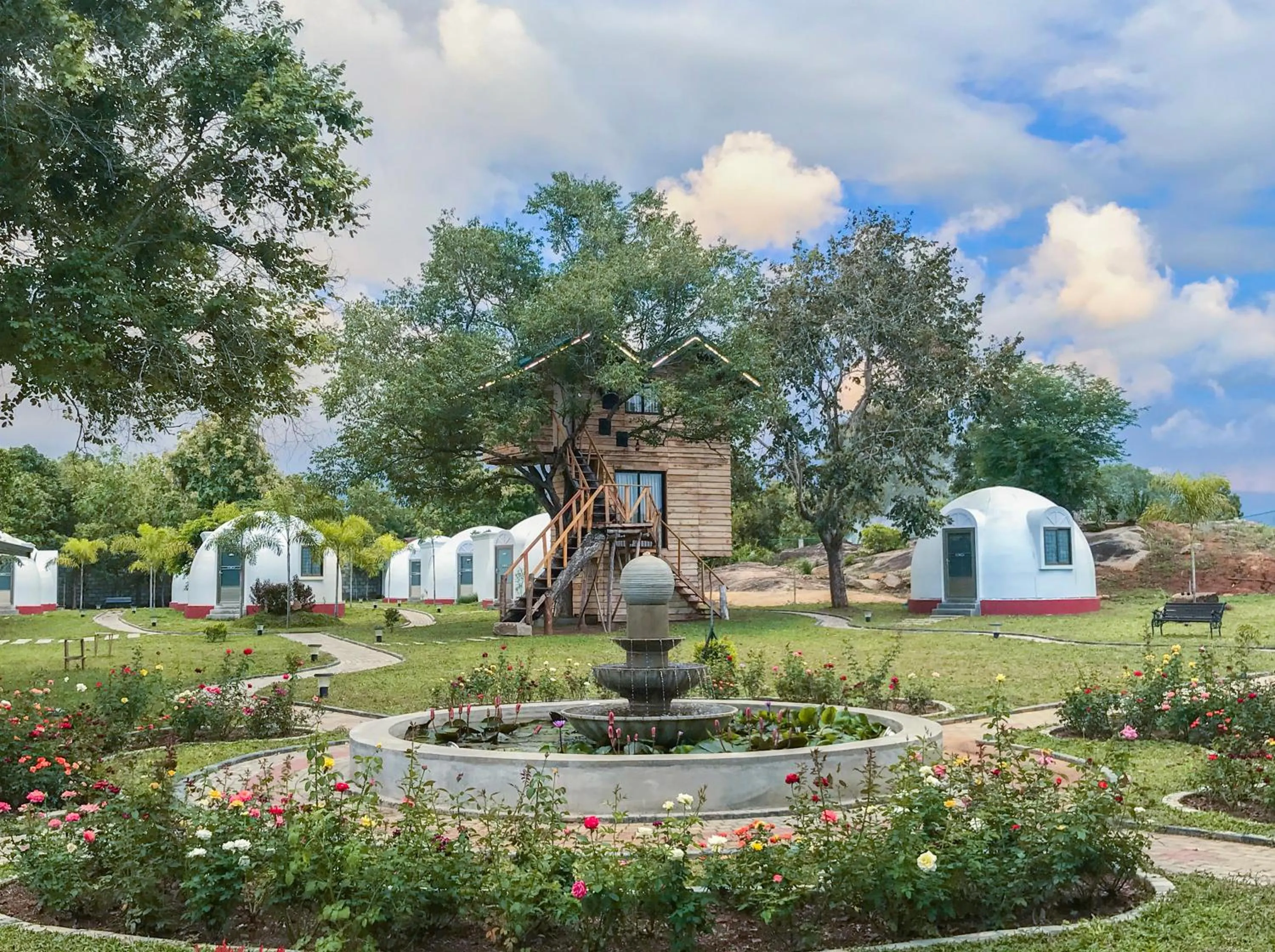 The Lion Kingdom Sigiriya