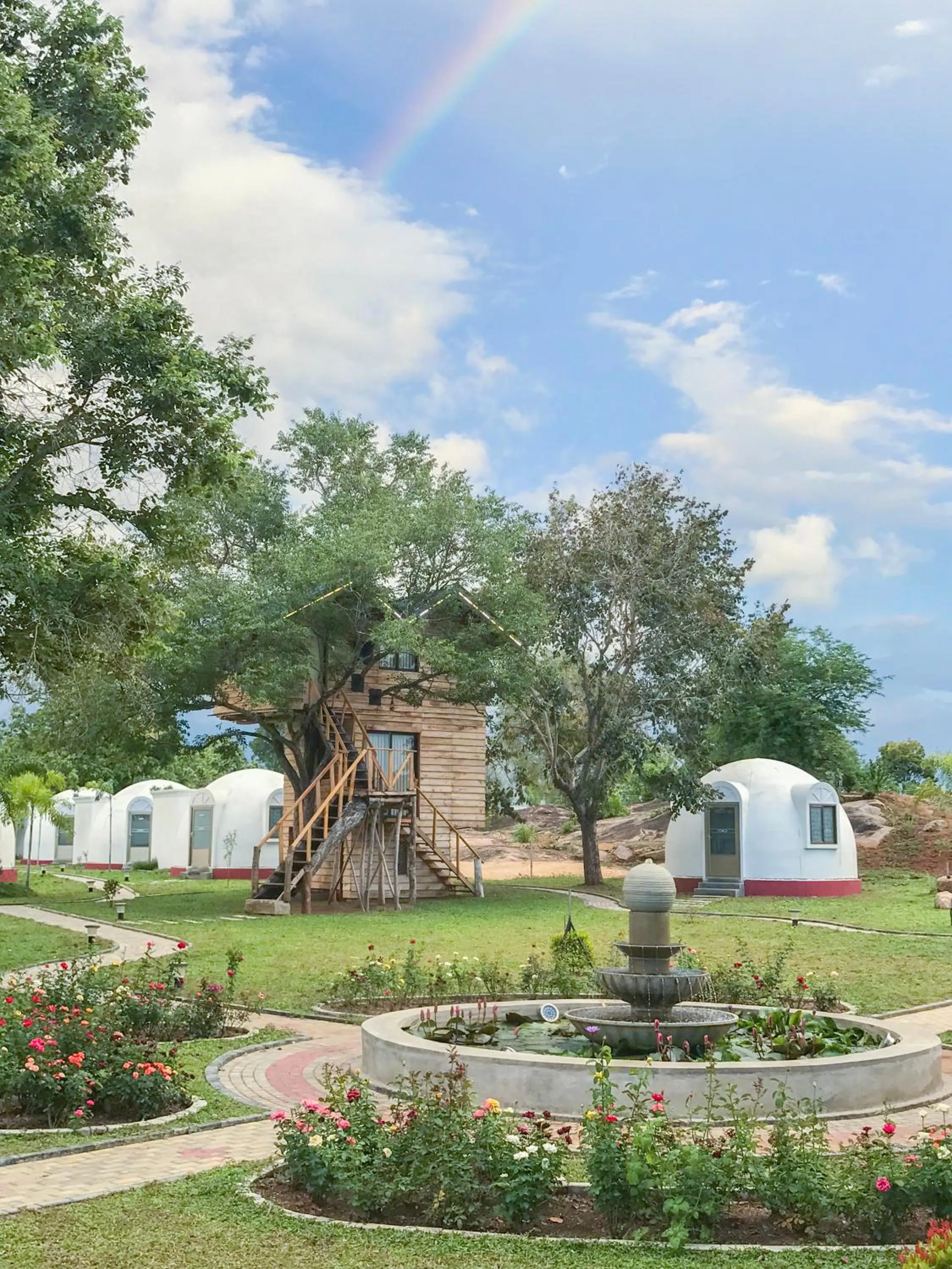 The Lion Kingdom Sigiriya