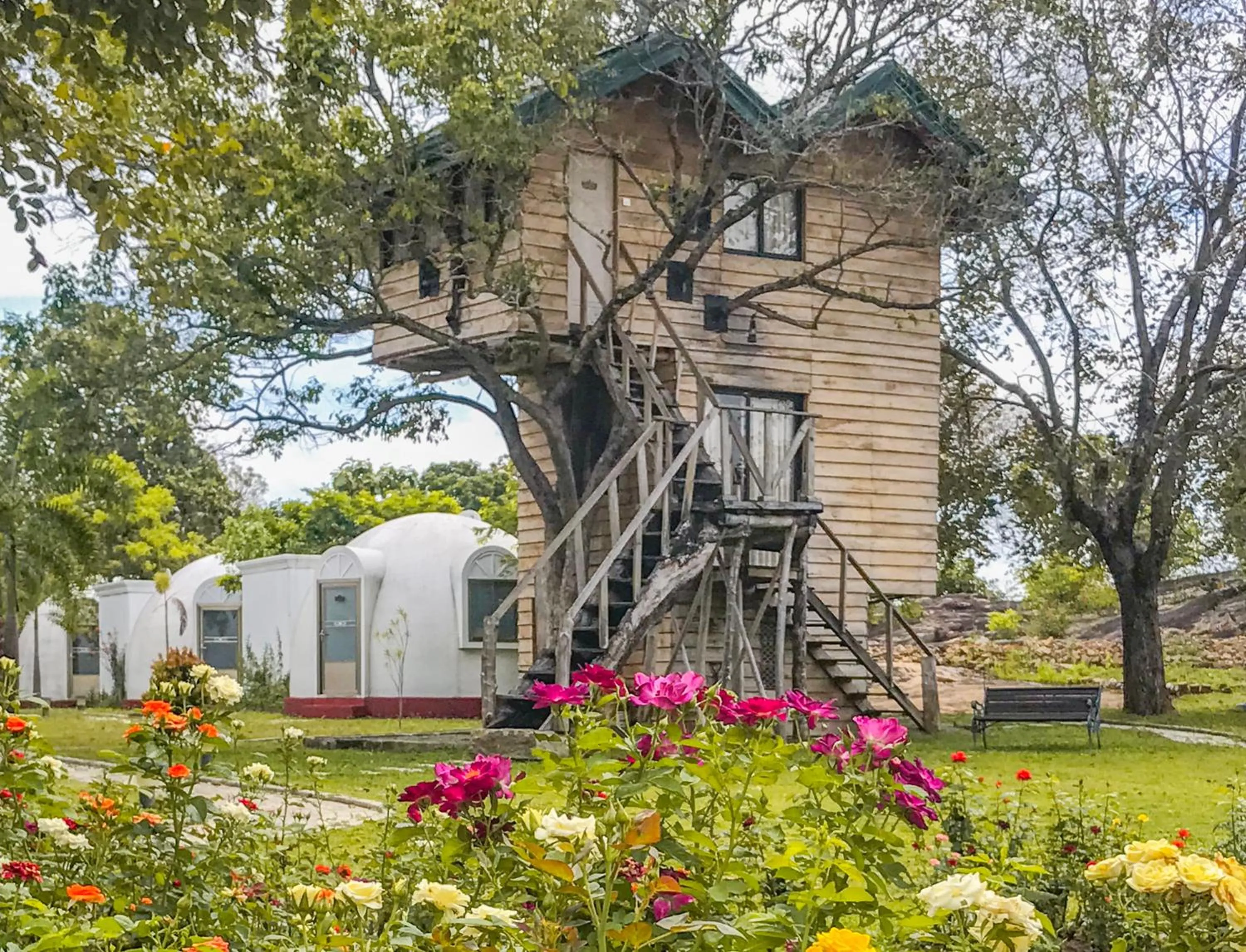 The Lion Kingdom Sigiriya