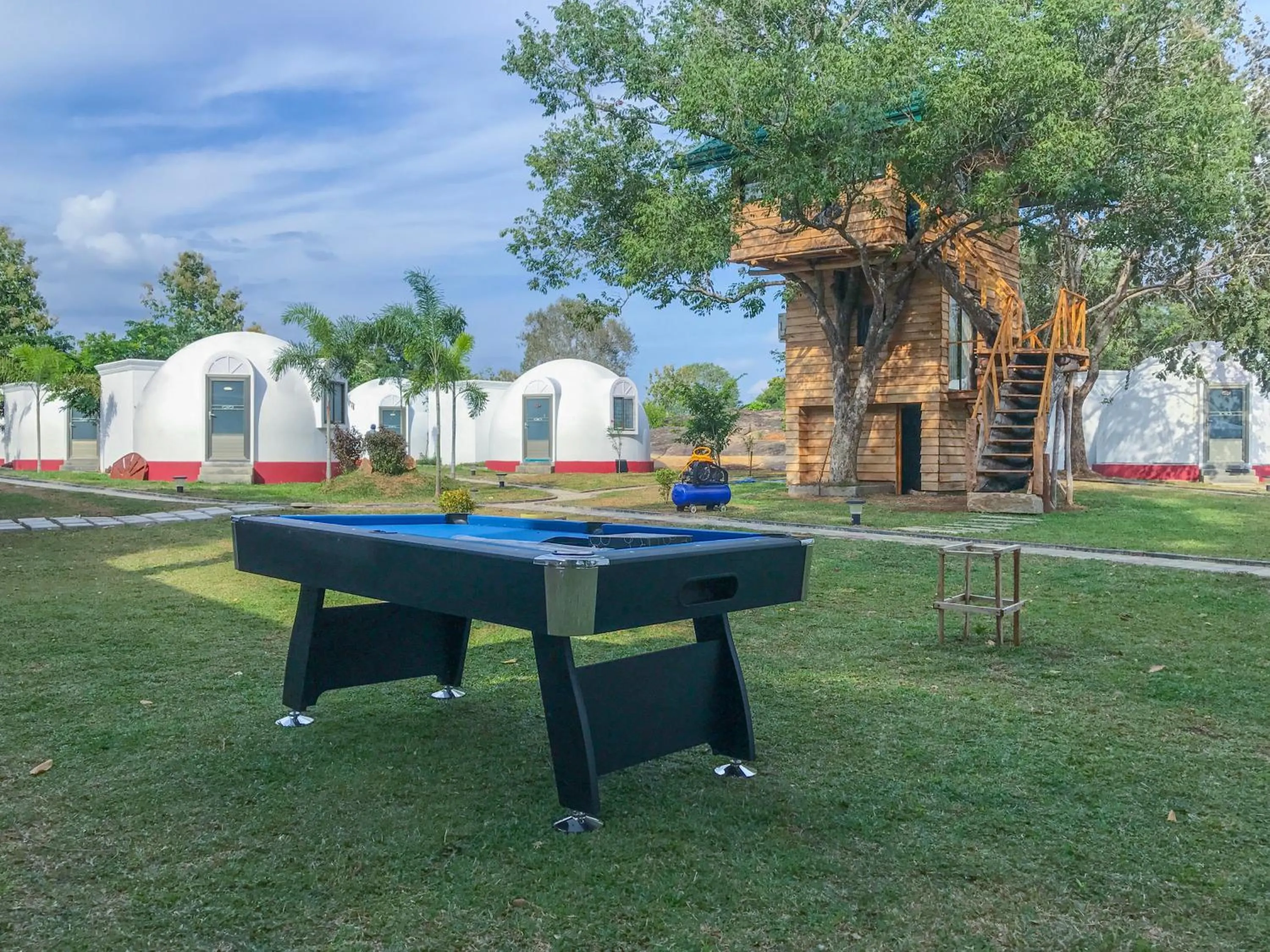 The Lion Kingdom Sigiriya