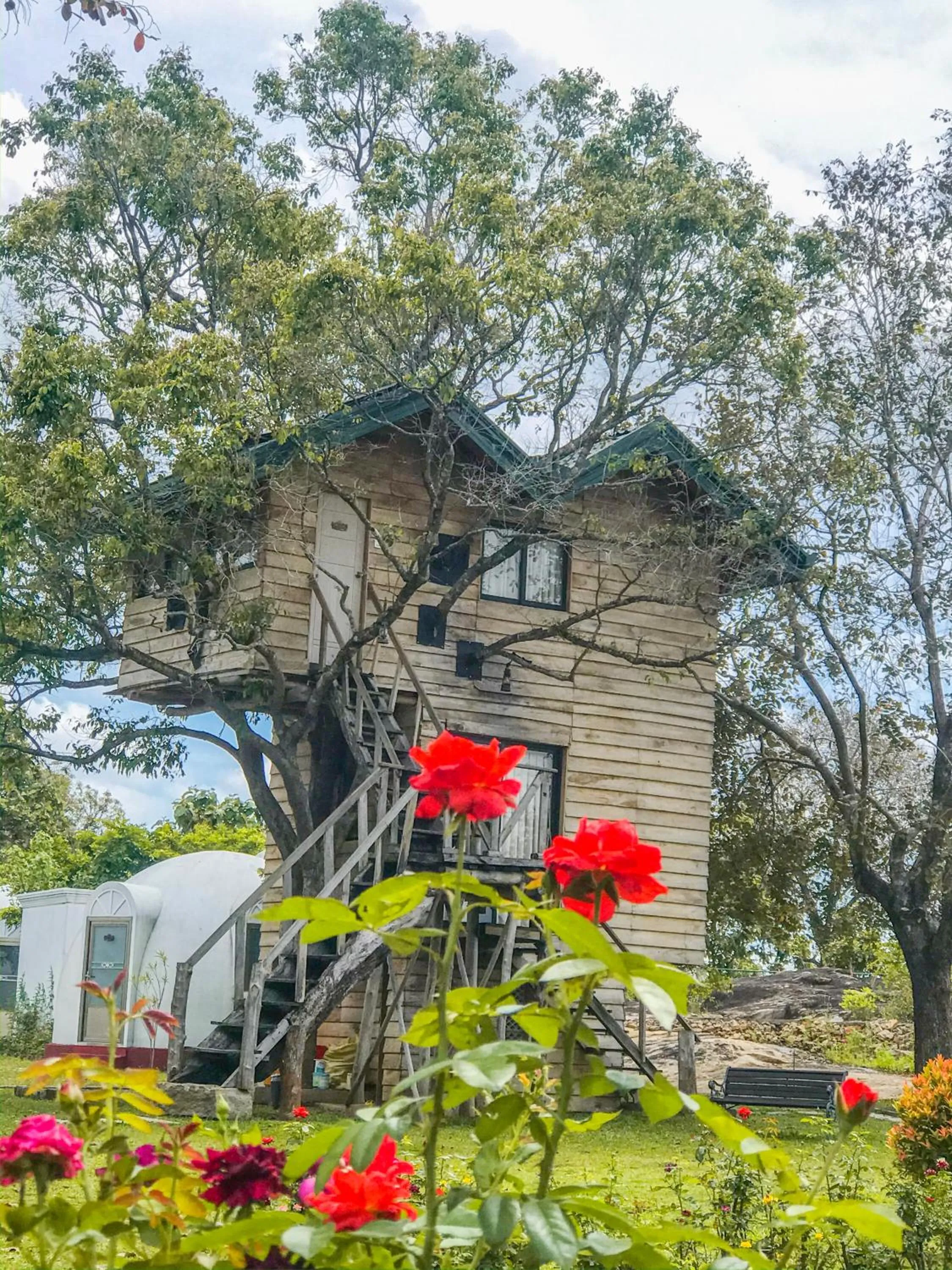 The Lion Kingdom Sigiriya