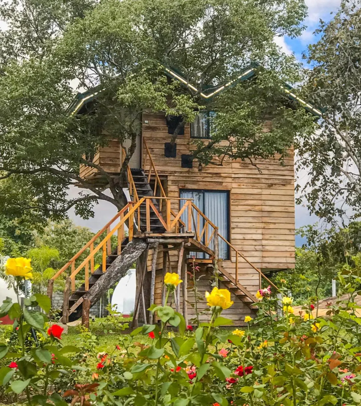 The Lion Kingdom Sigiriya