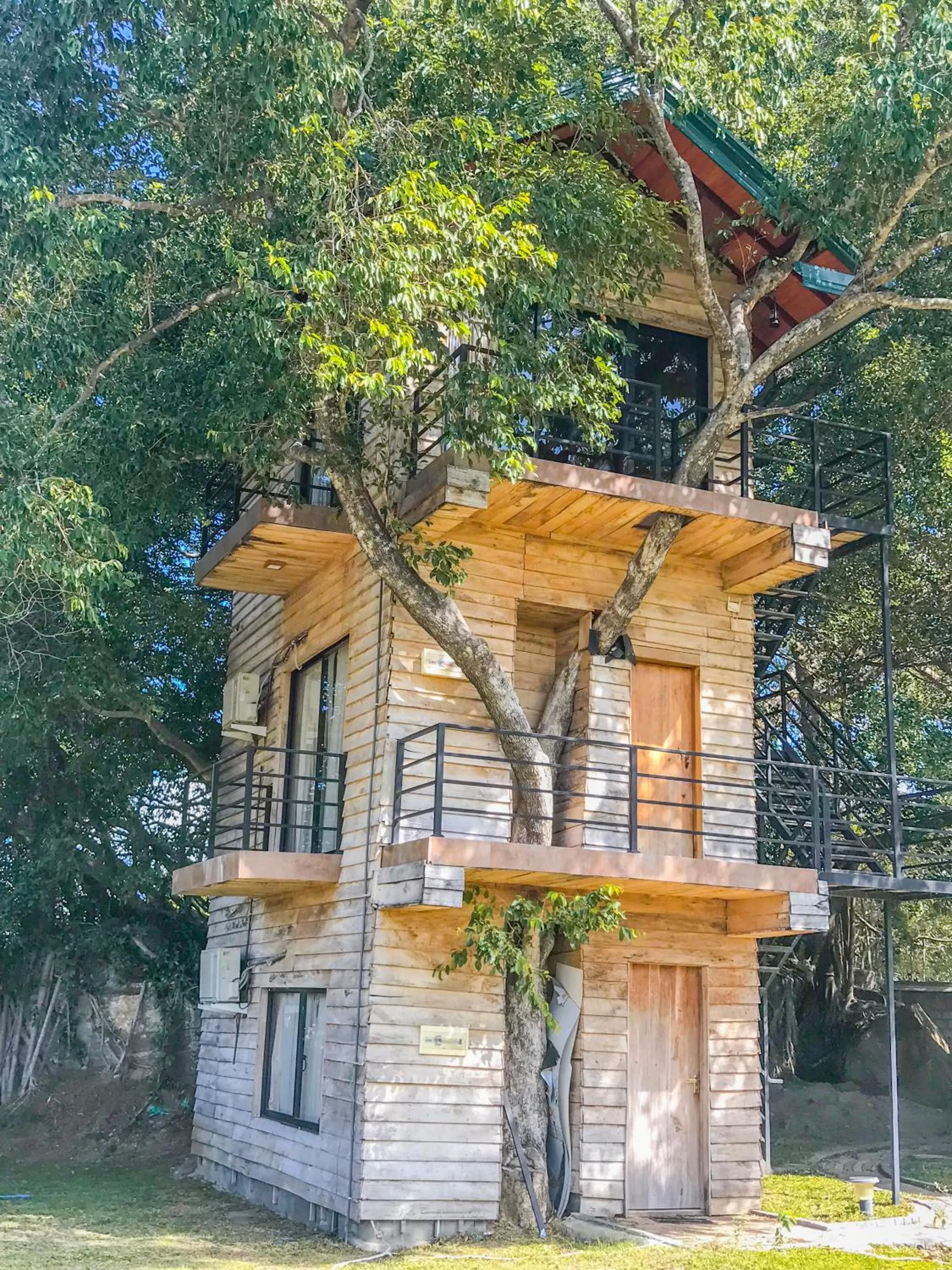 The Lion Kingdom Sigiriya