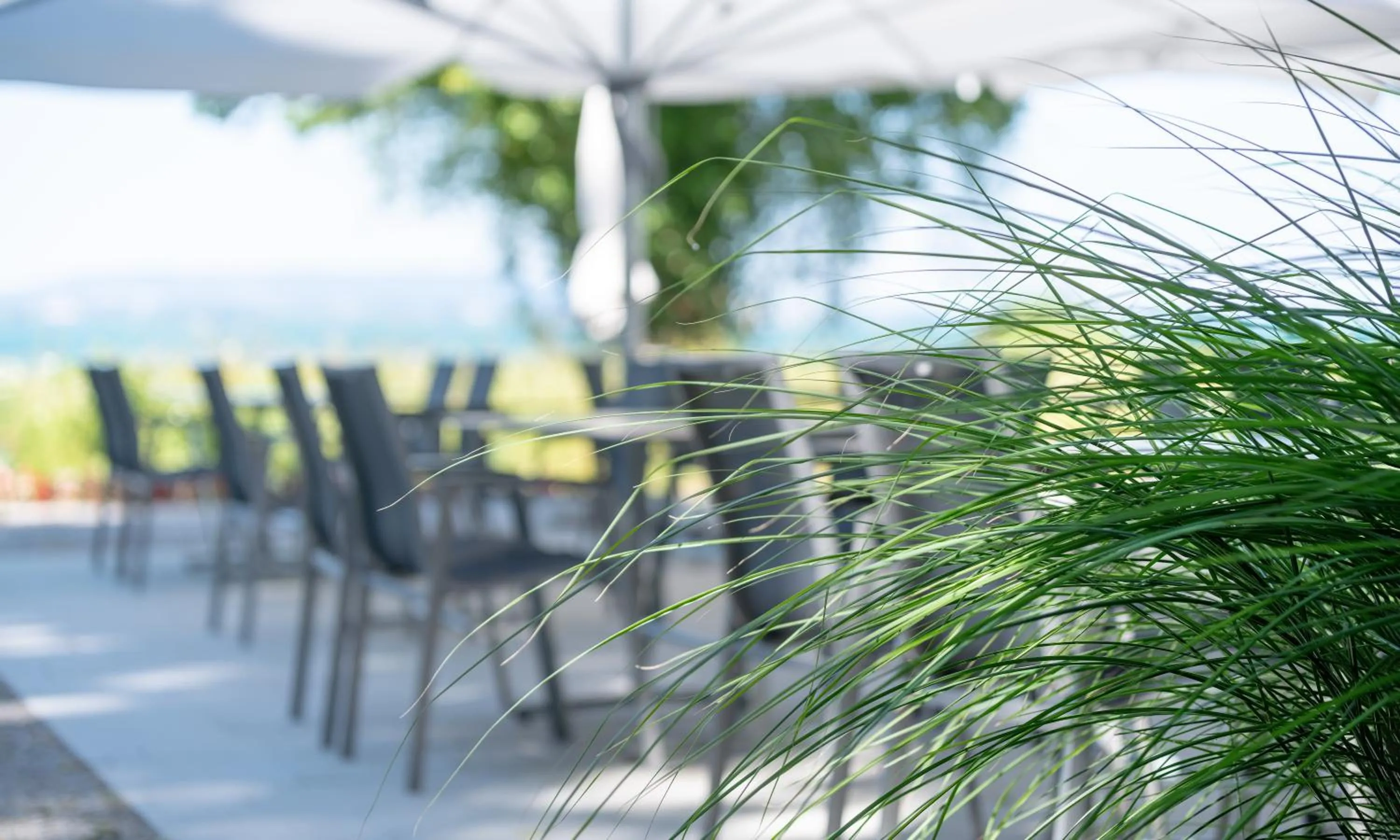 Restaurant/places to eat in Hotel Restaurant Sokrates