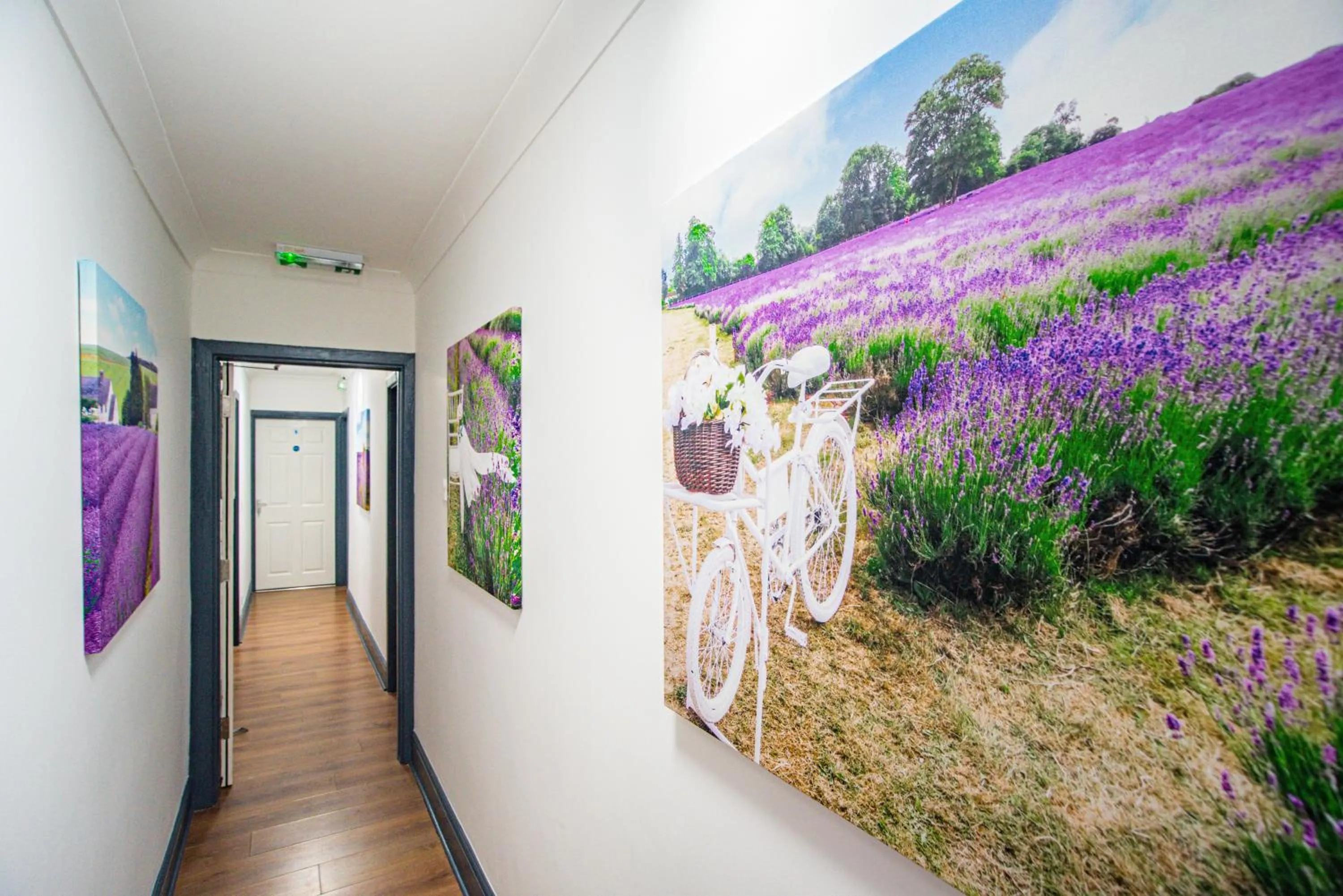 Summer in Wilson Lodge