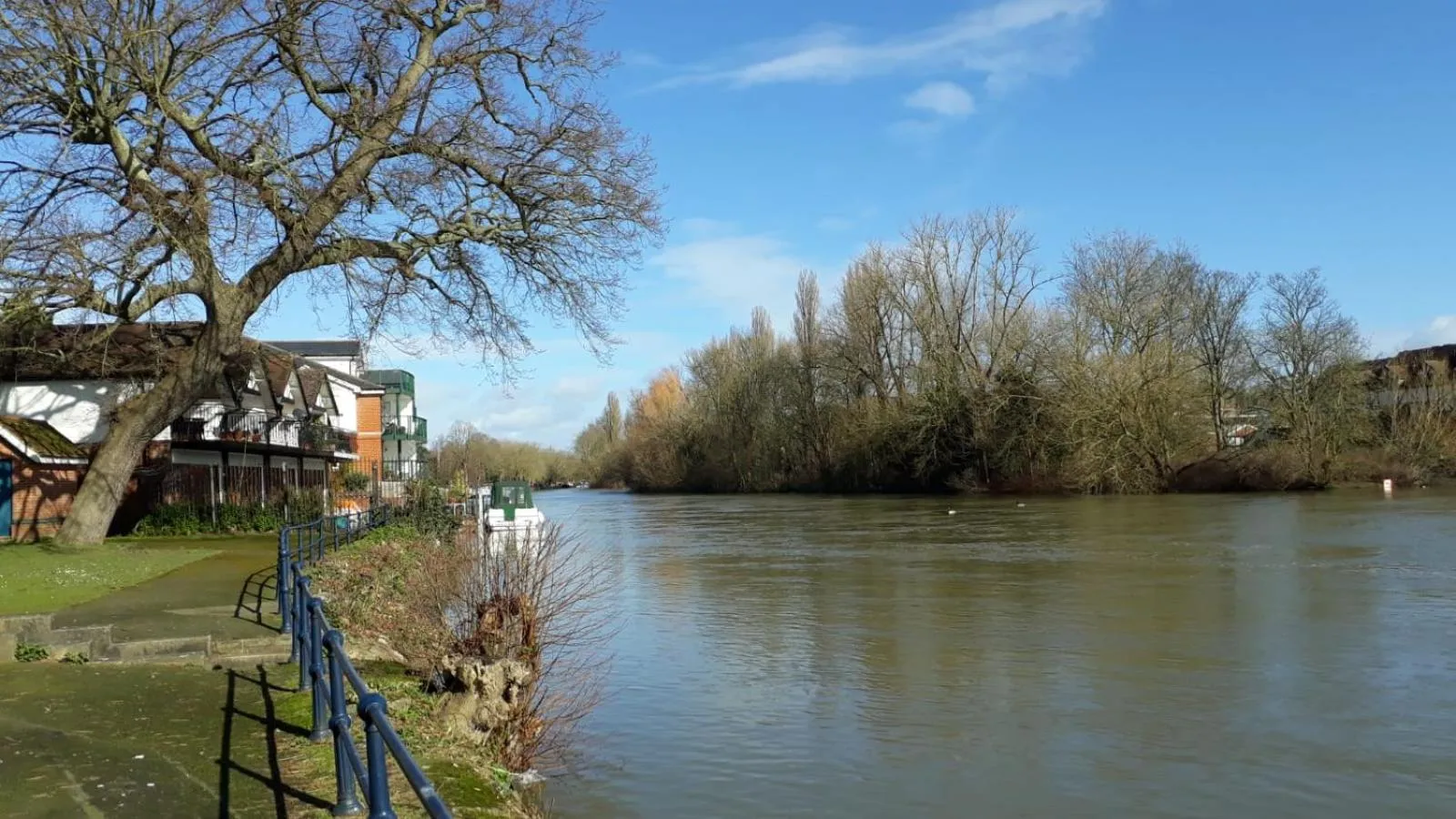 Natural landscape in Wilson Lodge