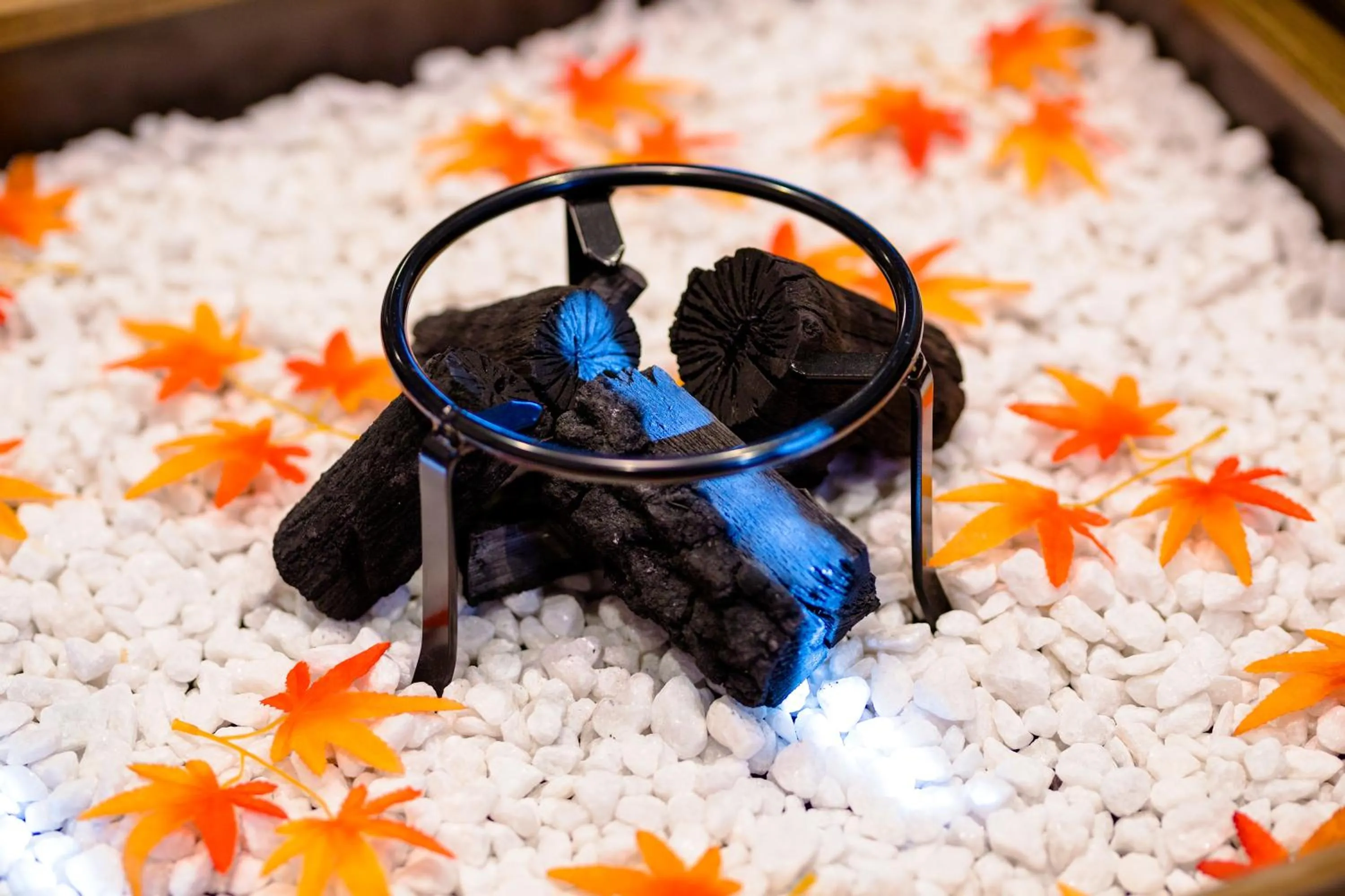 Photo of the whole room in ID-STAY河口湖Ⅲ