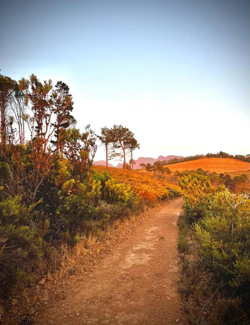 Hiking in Vrede Selfcatering