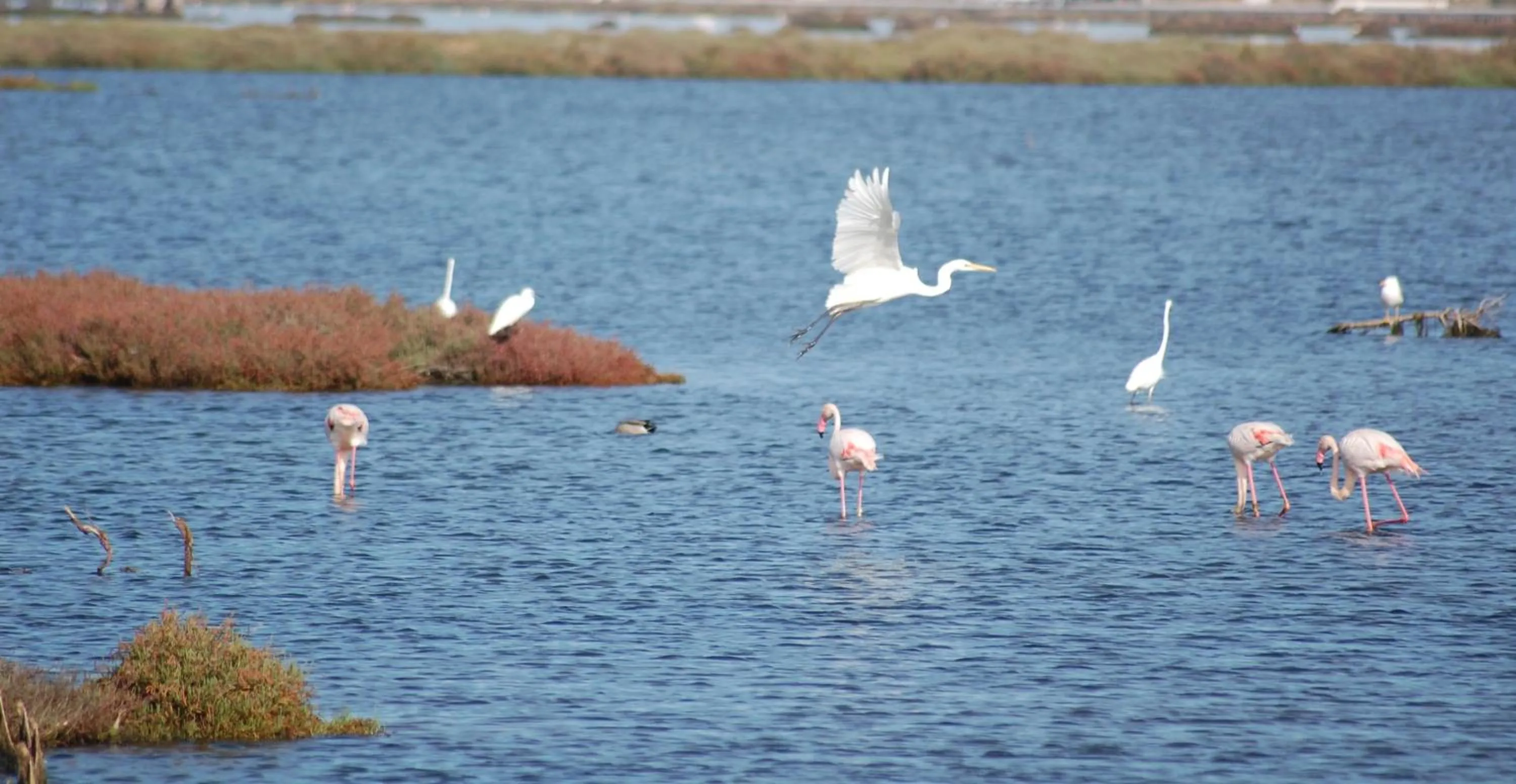 Natural landscape in B&B Il Vigneto