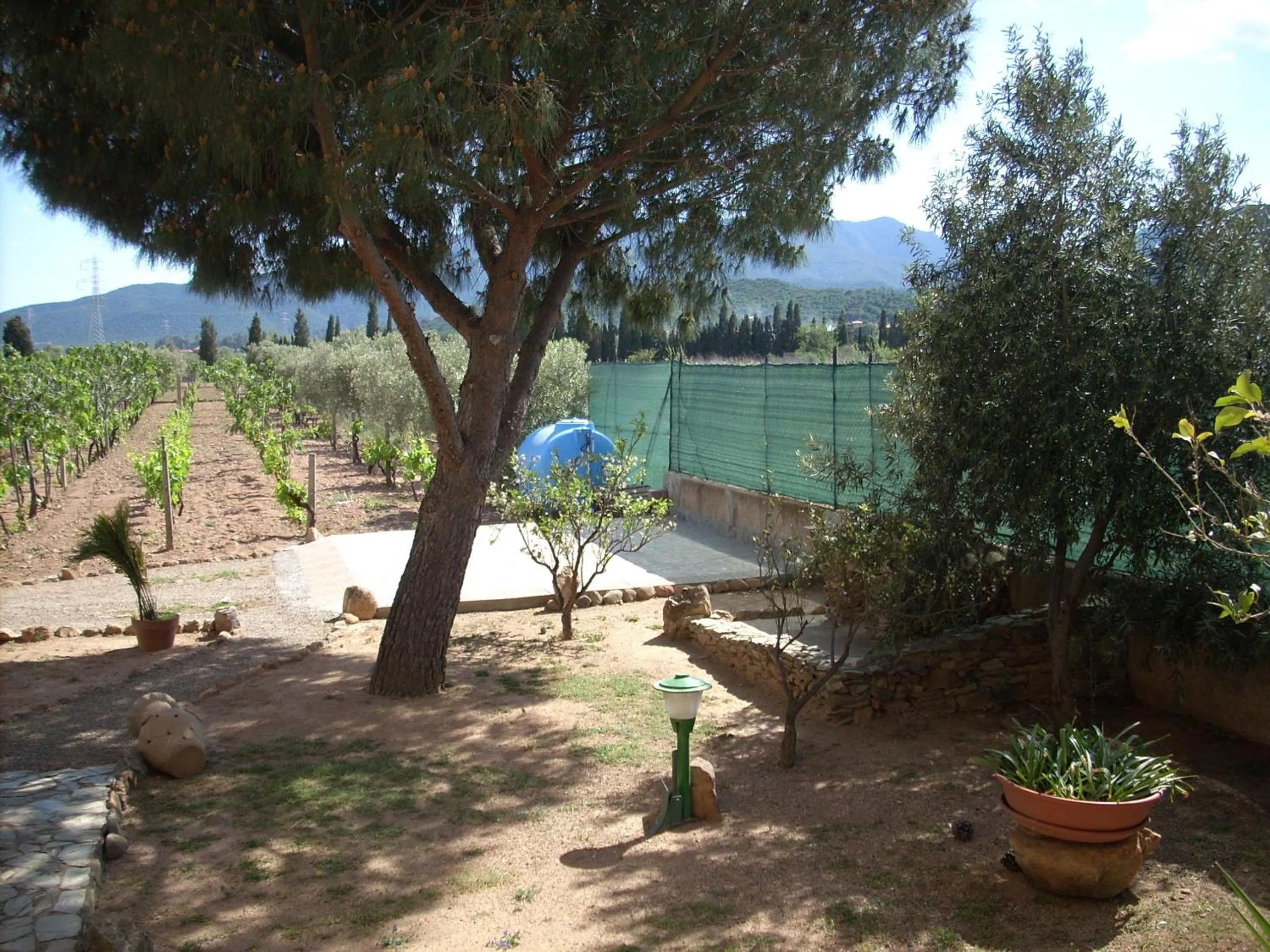 Garden in B&B Il Vigneto