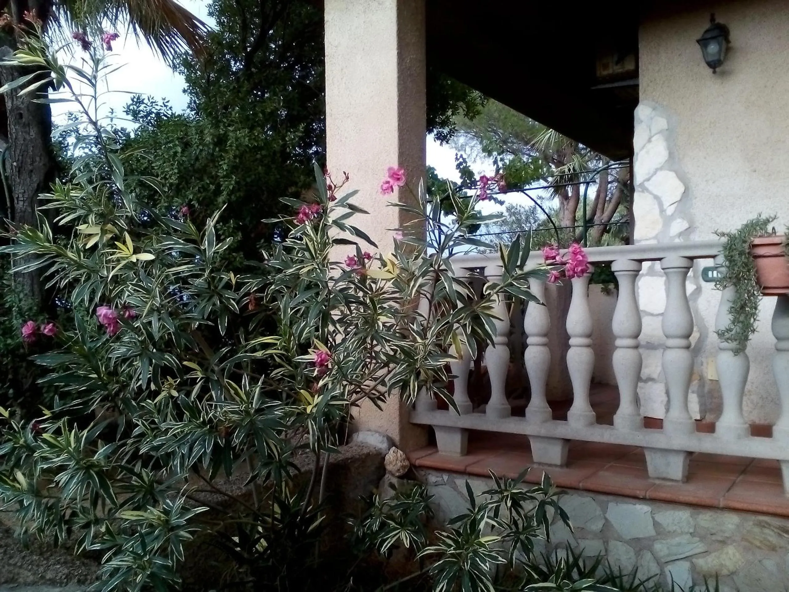 Garden in B&B Il Vigneto