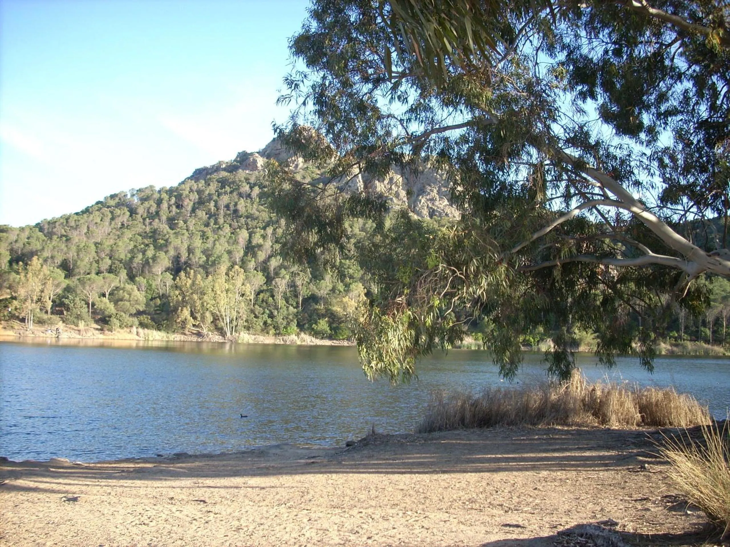 Natural landscape in B&B Il Vigneto