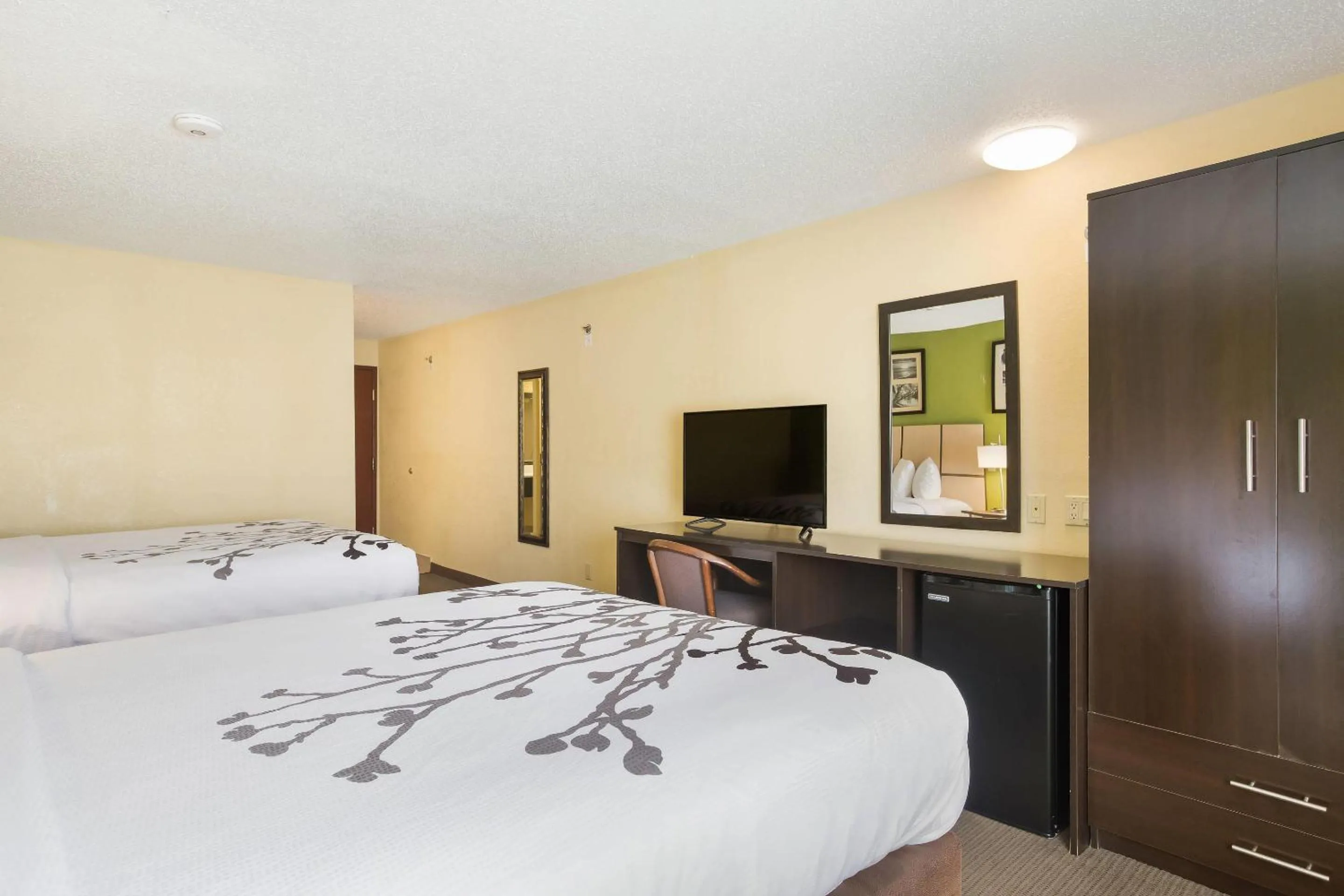 Bedroom, Bed in Sleep Inn & Suites Grand Rapids Southeast - Kentwood