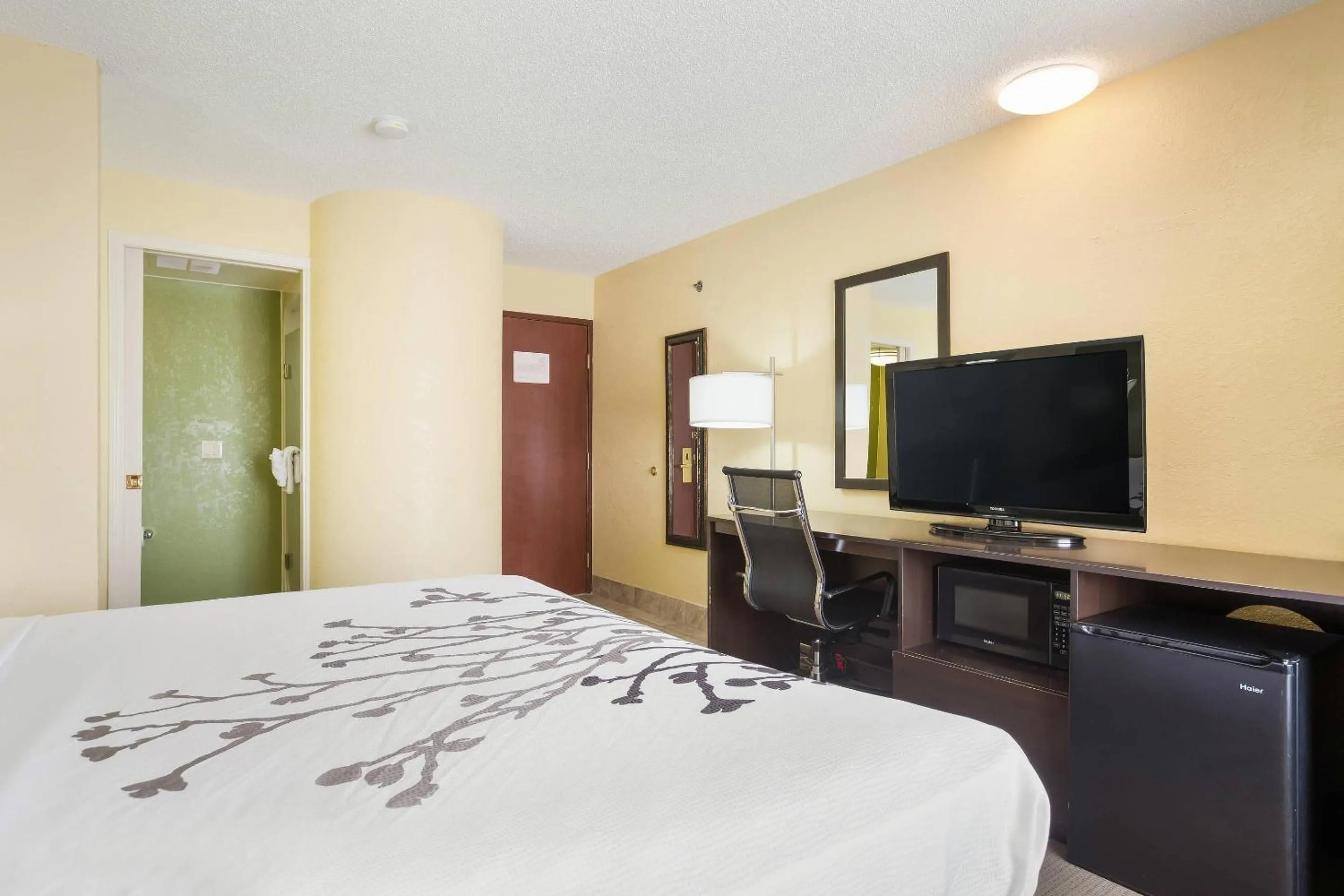 Bedroom, Bed in Sleep Inn & Suites Grand Rapids Southeast - Kentwood
