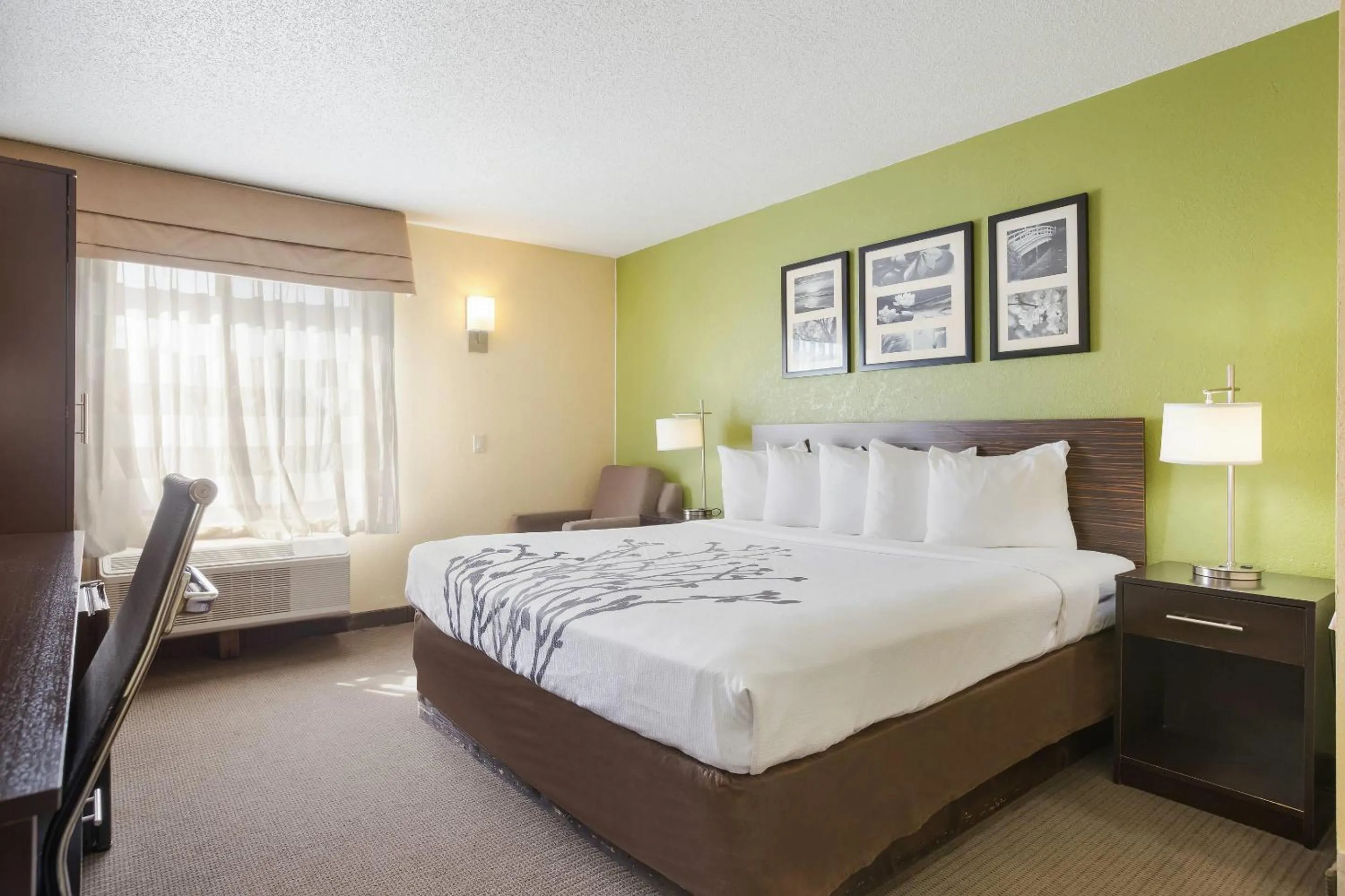 Bedroom, Bed in Sleep Inn & Suites Grand Rapids Southeast - Kentwood