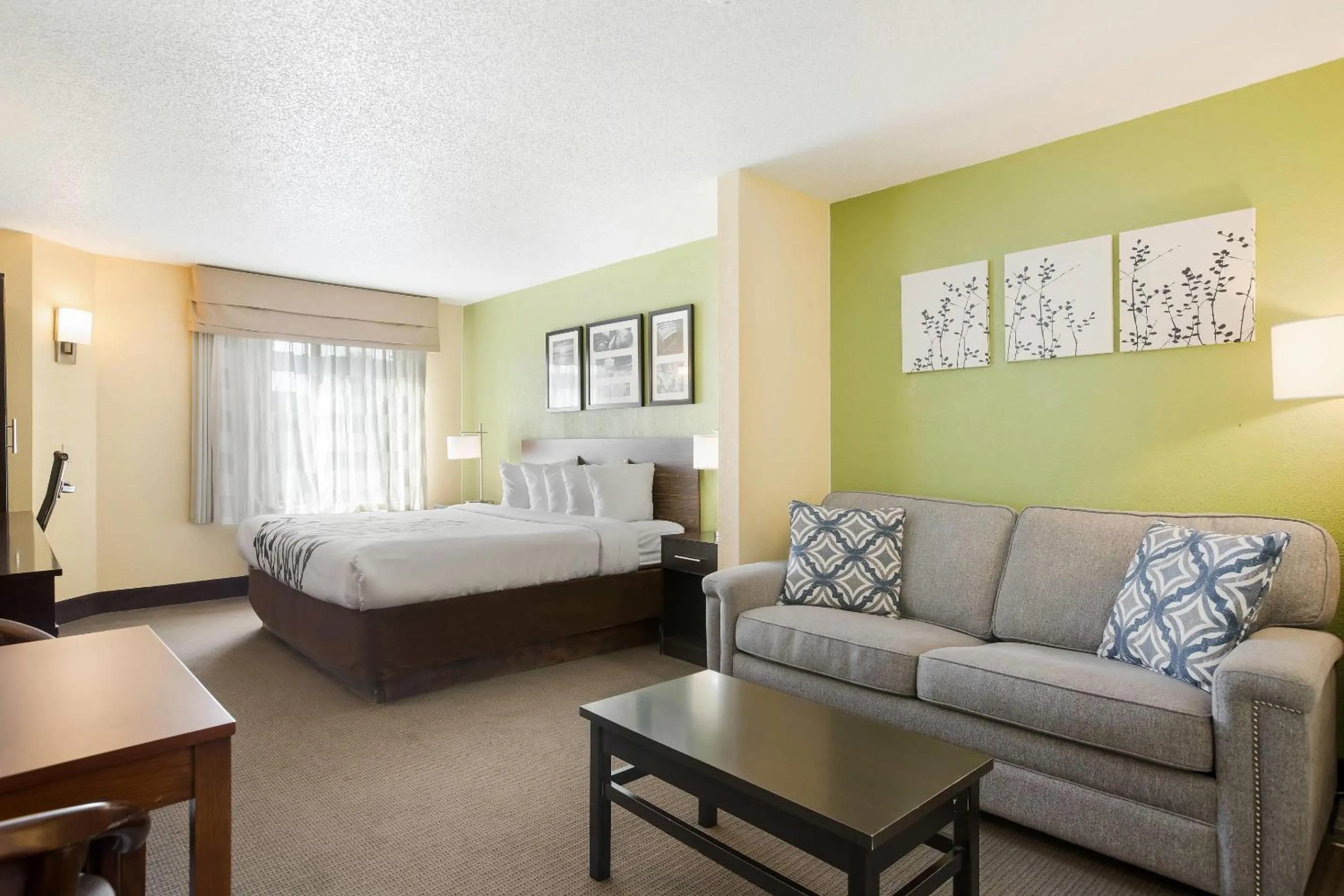 Bedroom, Bed in Sleep Inn & Suites Grand Rapids Southeast - Kentwood