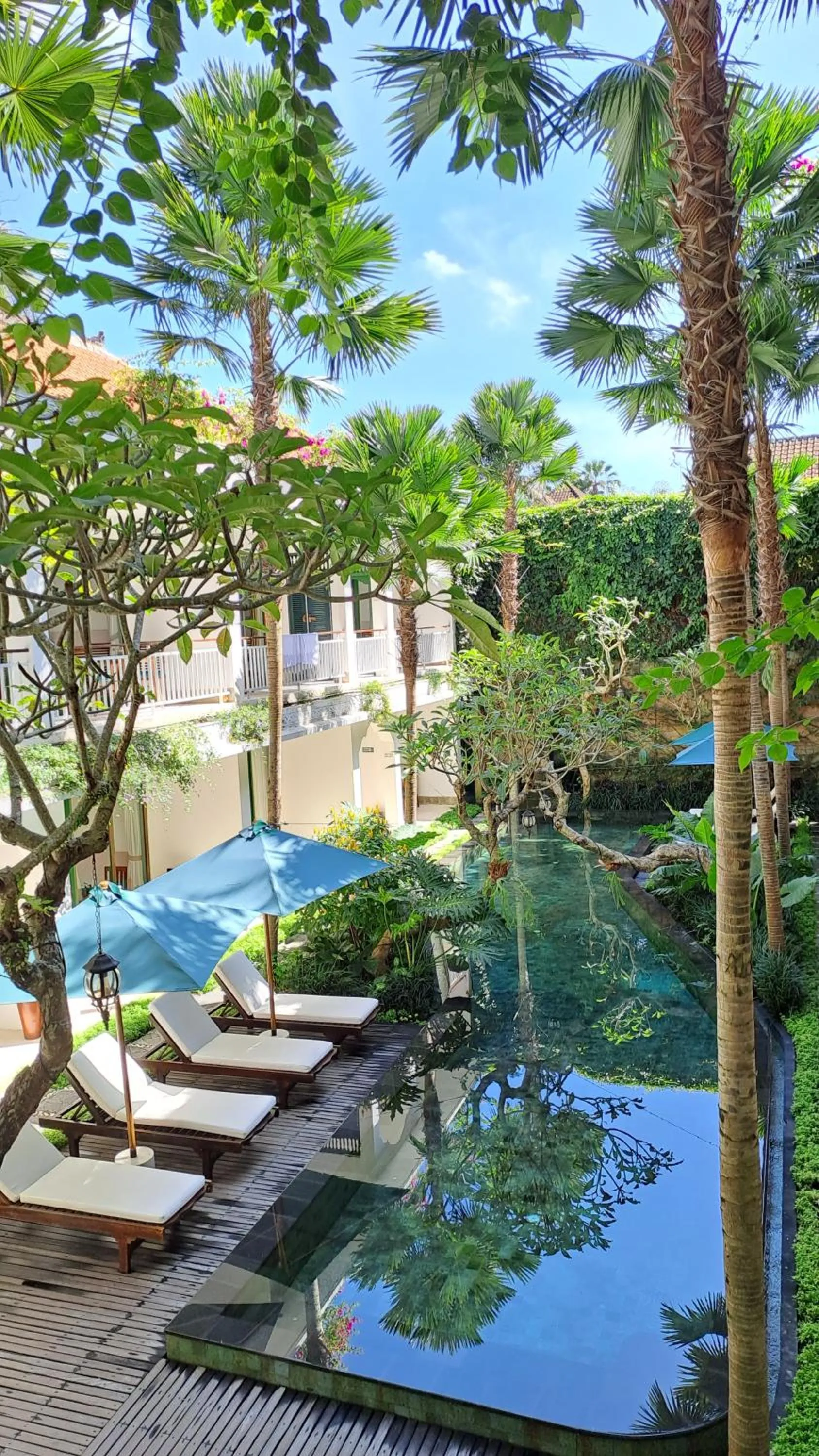 Swimming pool in Sabana Ubud