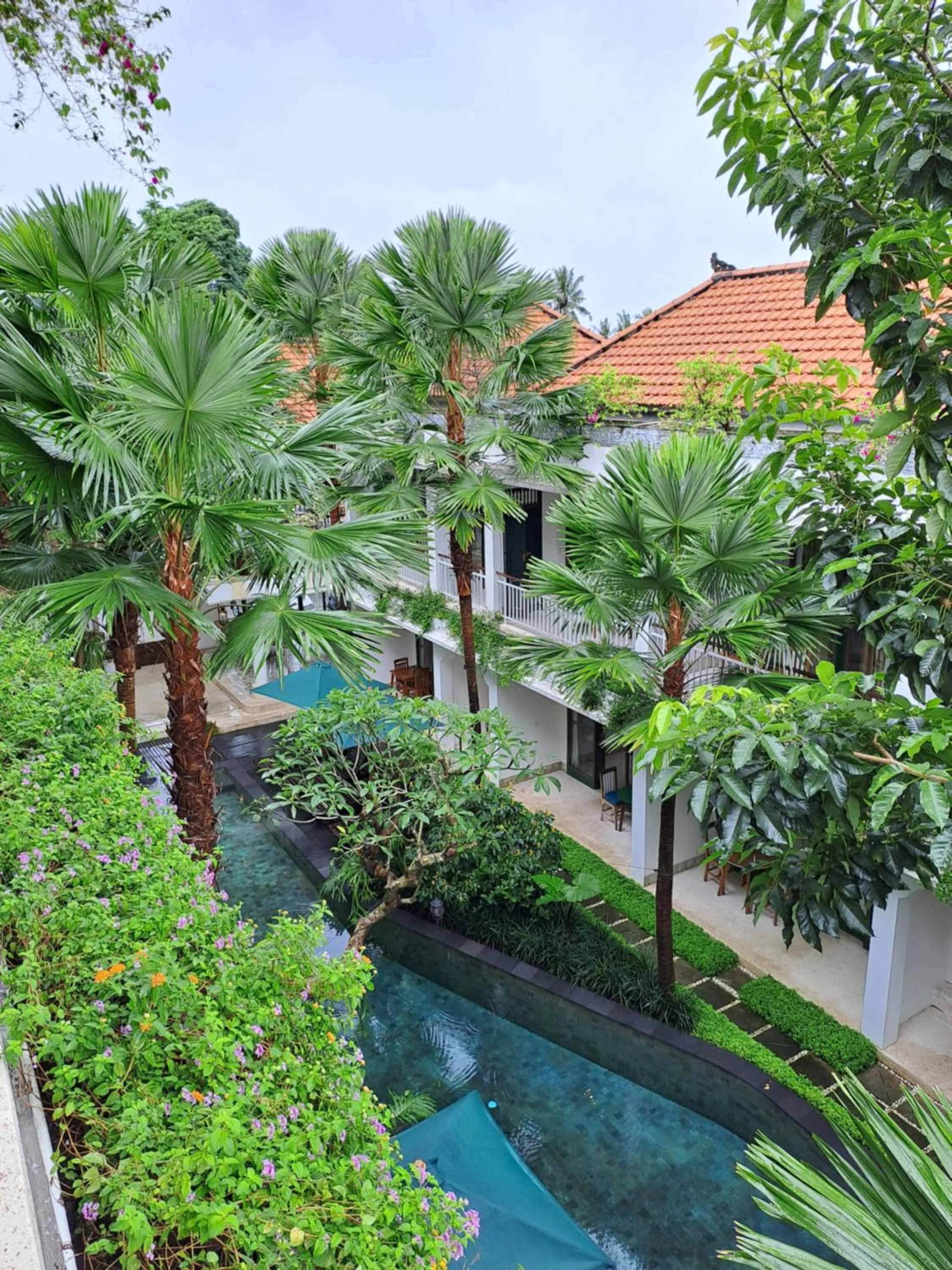 View (from property/room) in Sabana Ubud