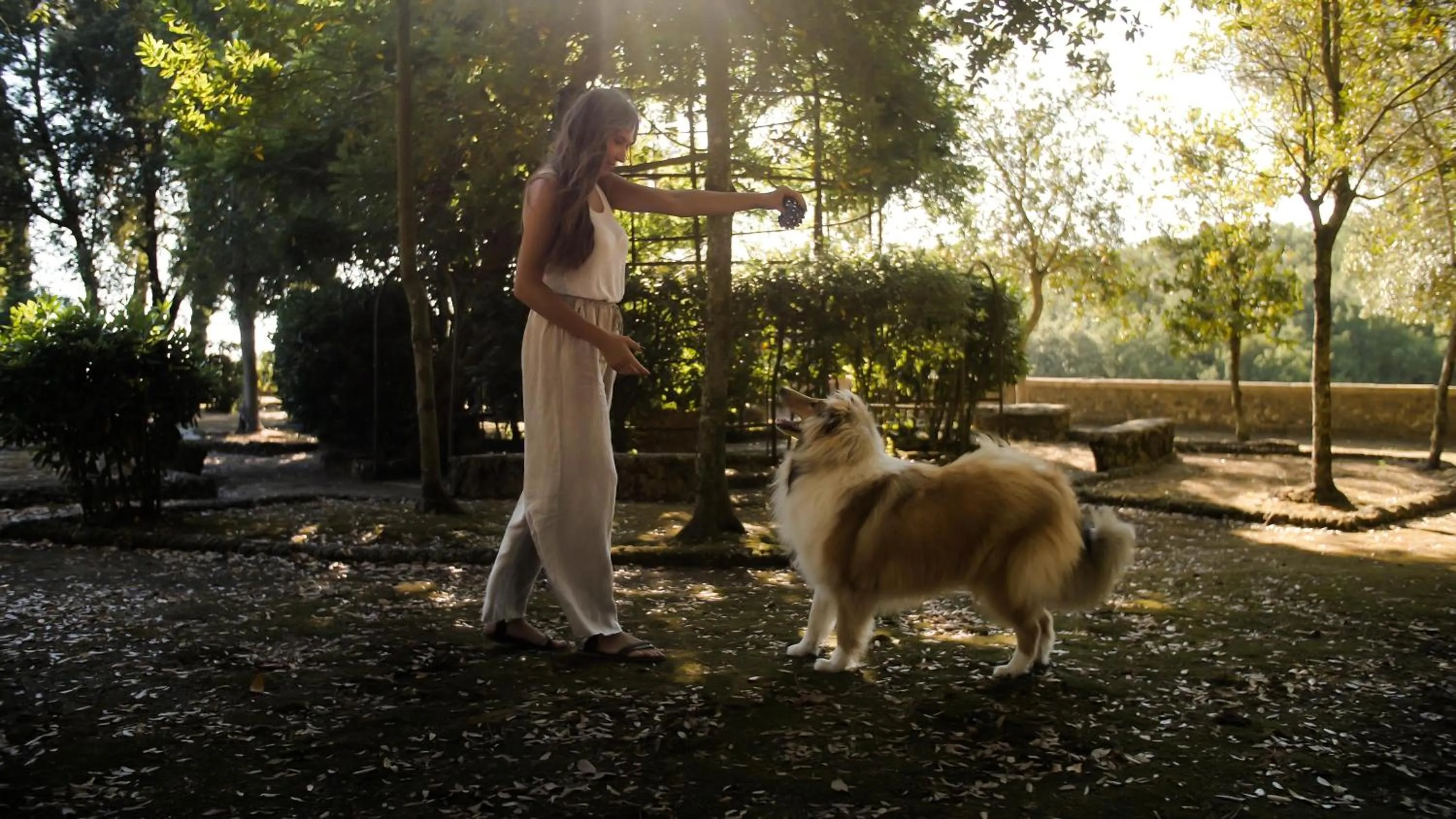 Pets in Pian Dei Mucini Resort