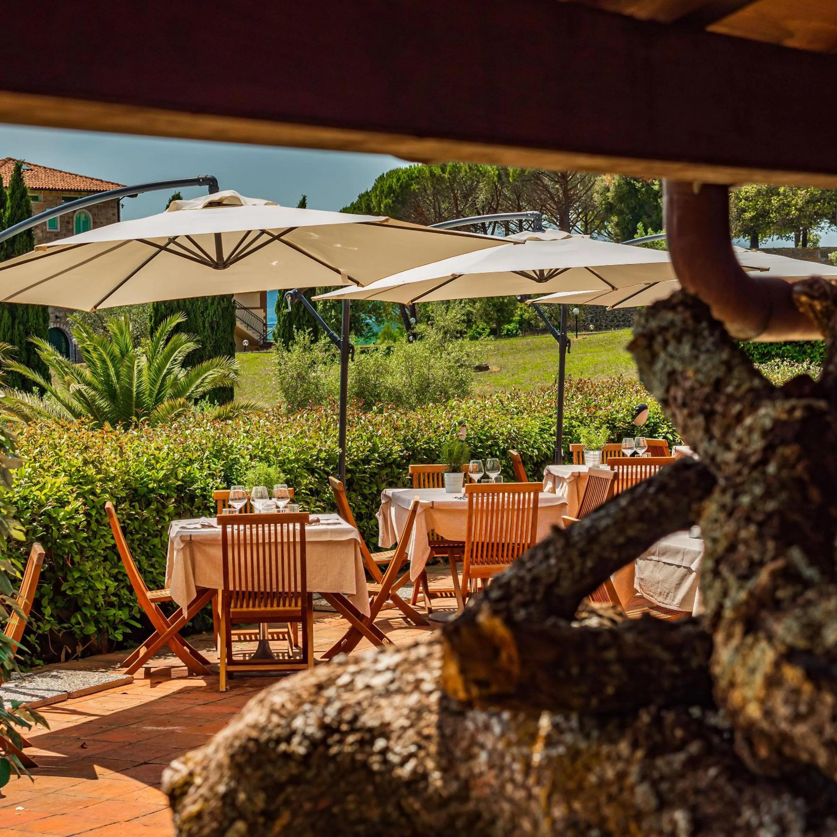 Restaurant/places to eat in Pian Dei Mucini Resort