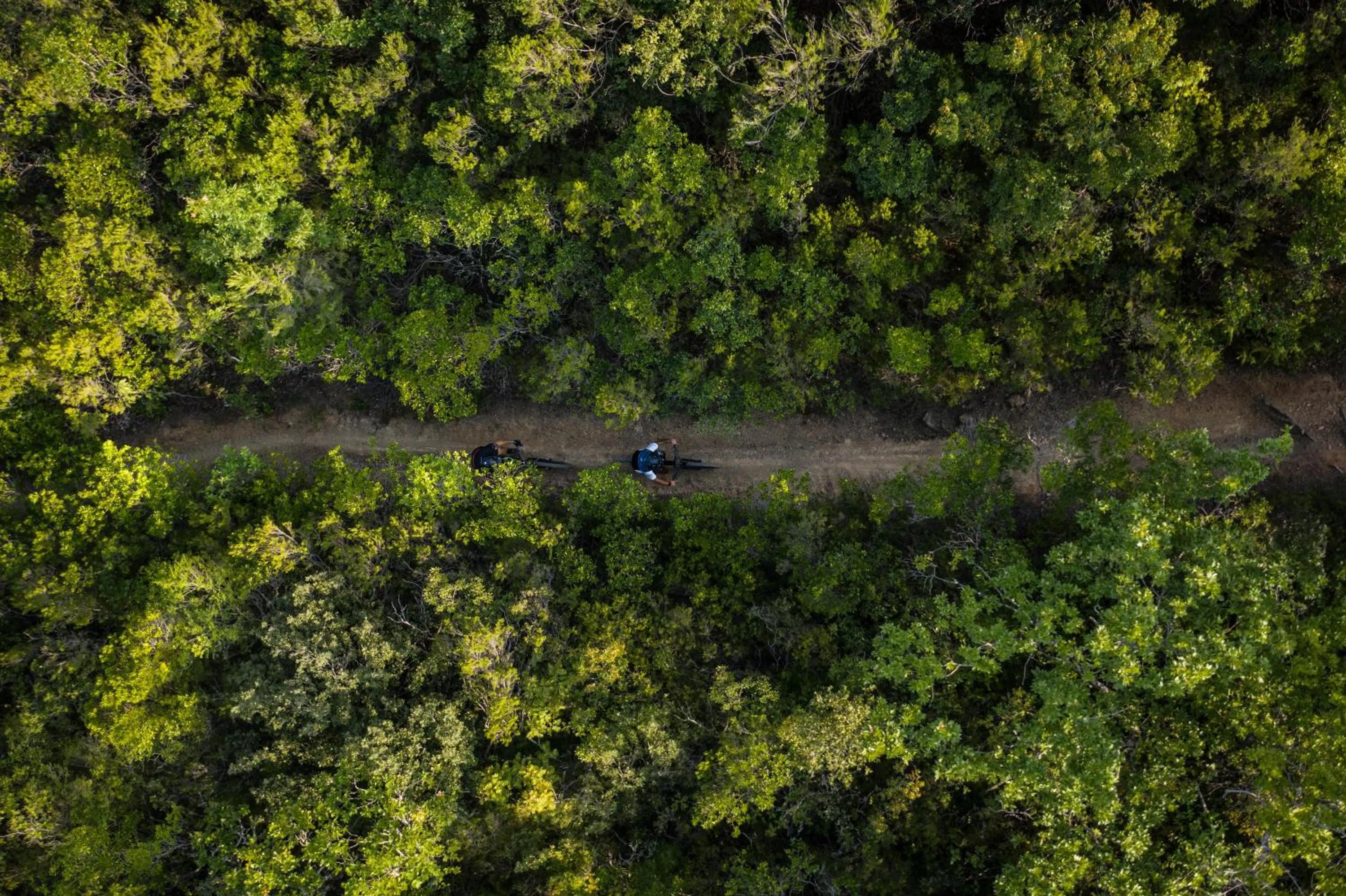 Activities in Pian Dei Mucini Resort