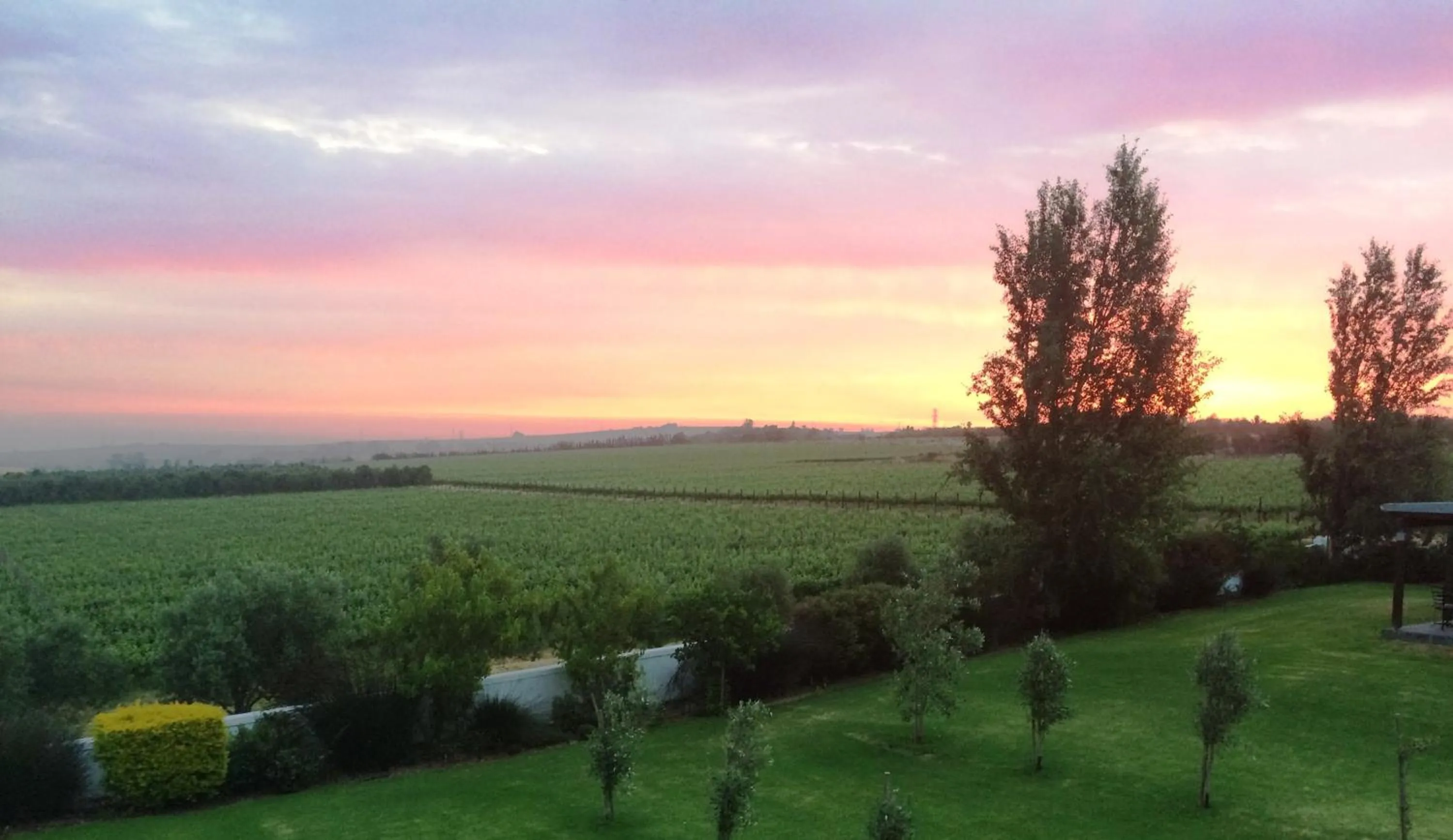 Sunset in Klein Welmoed Luxury Guest House